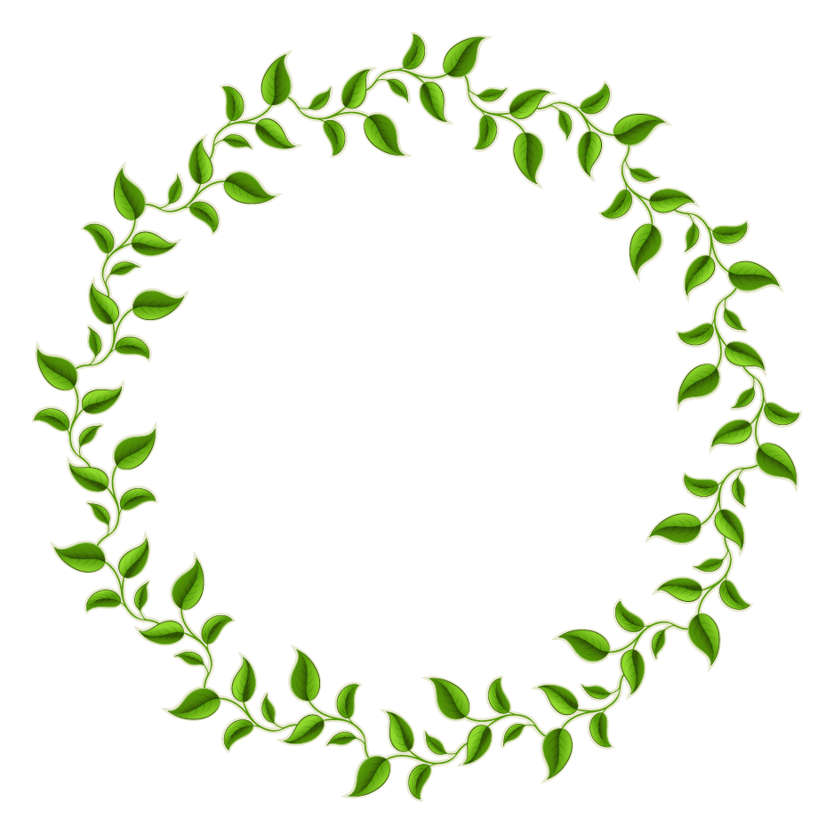 نقاشی برگ های سبز دایره ای بدون پس زمینه برای فتوشاپ