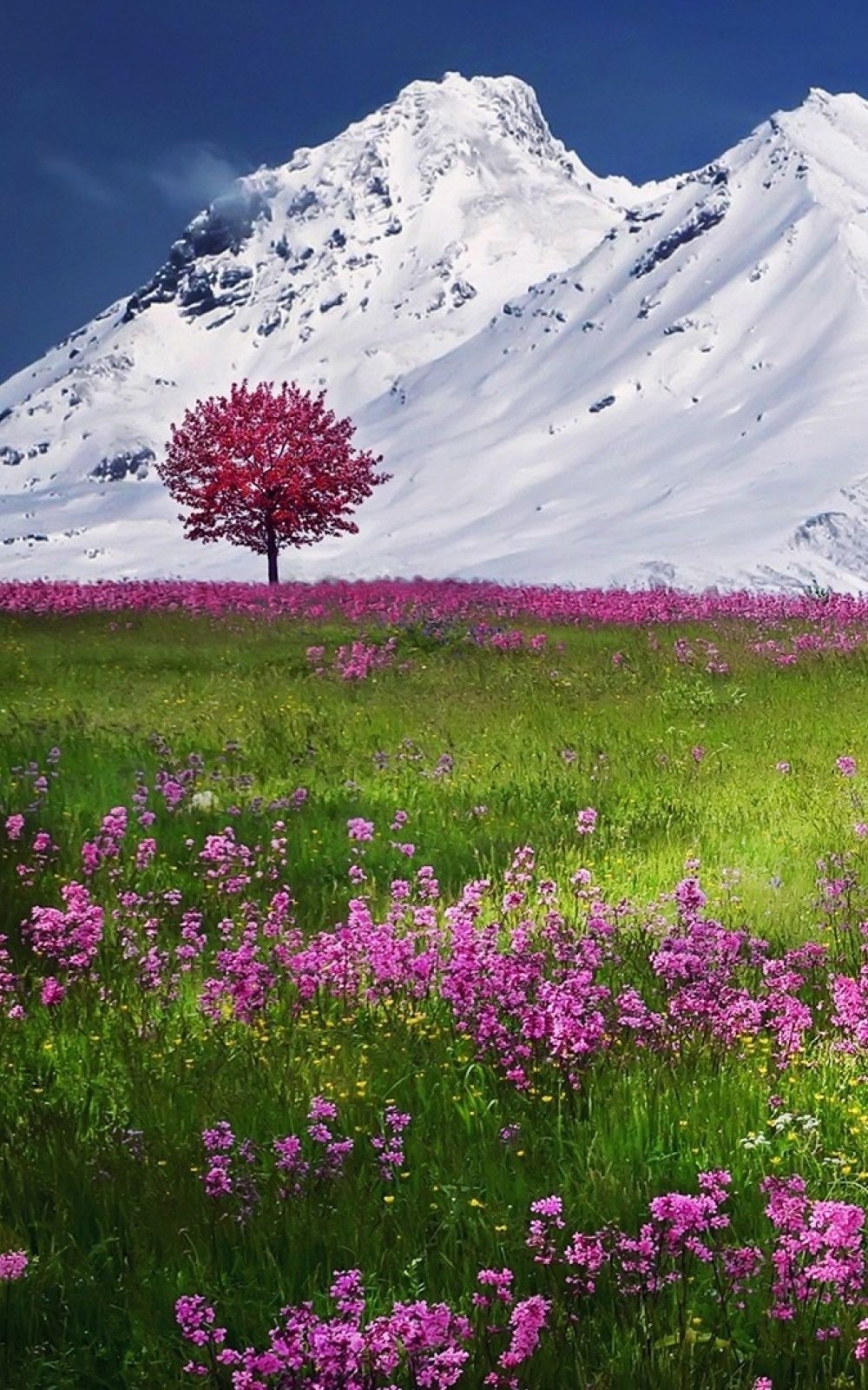 پوستر شگفت انگیز HD از طبیعت بهاری سوئیس آماده چاپ