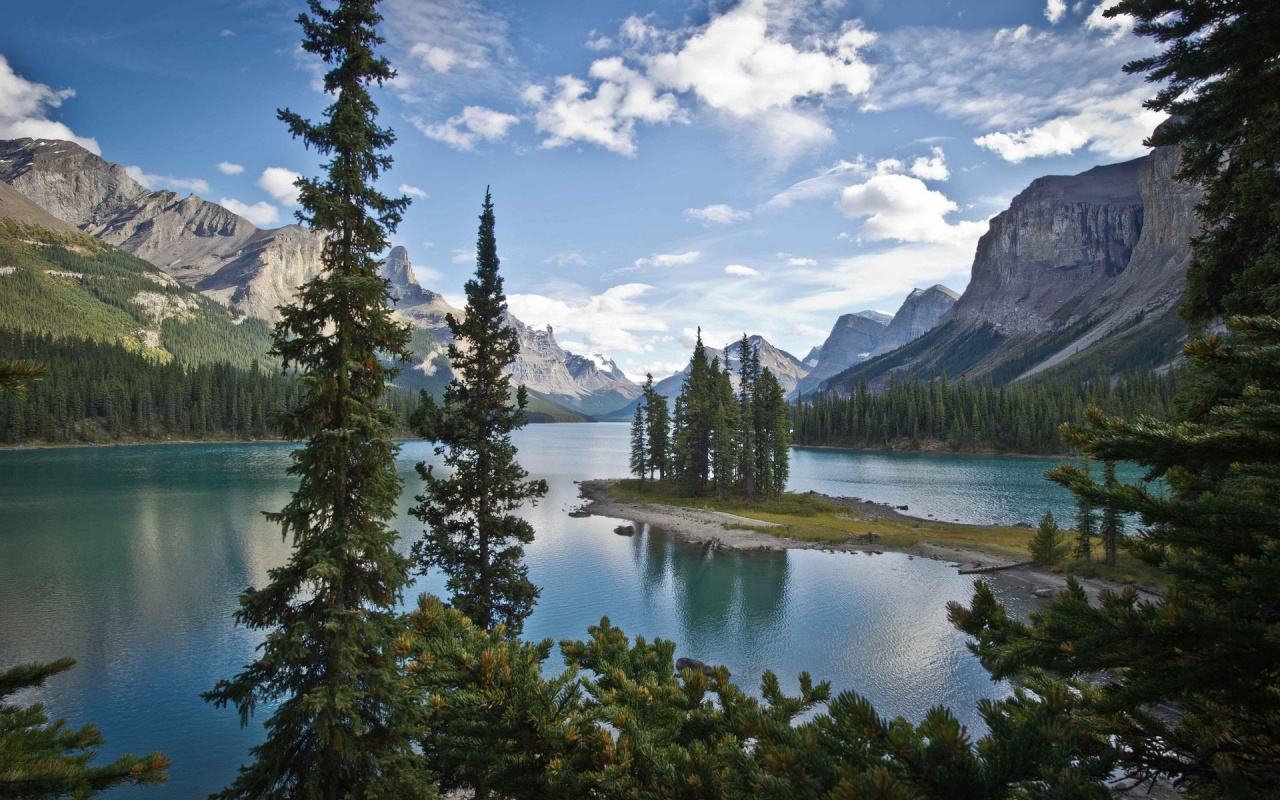عکس زیبای دریاچه و درختان از طبیعت کانادا