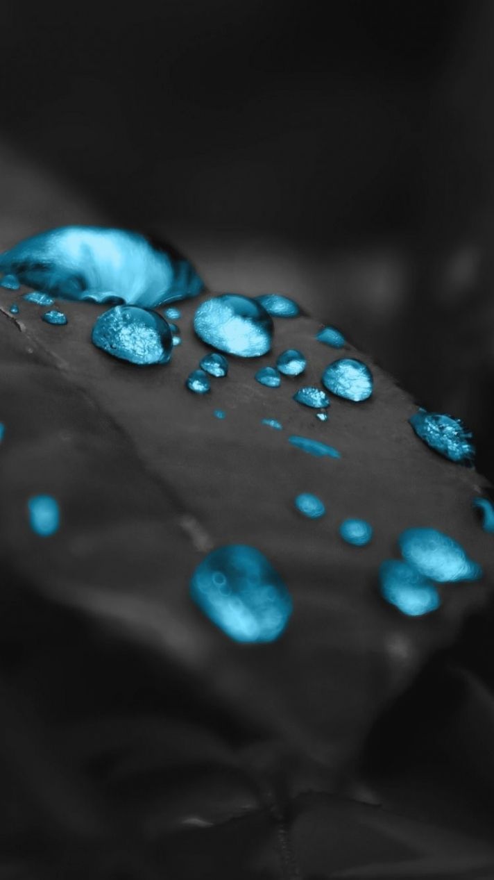 تصویر زمینه مسحور کننده قطره های آبی درخشان در زمینه مشکی