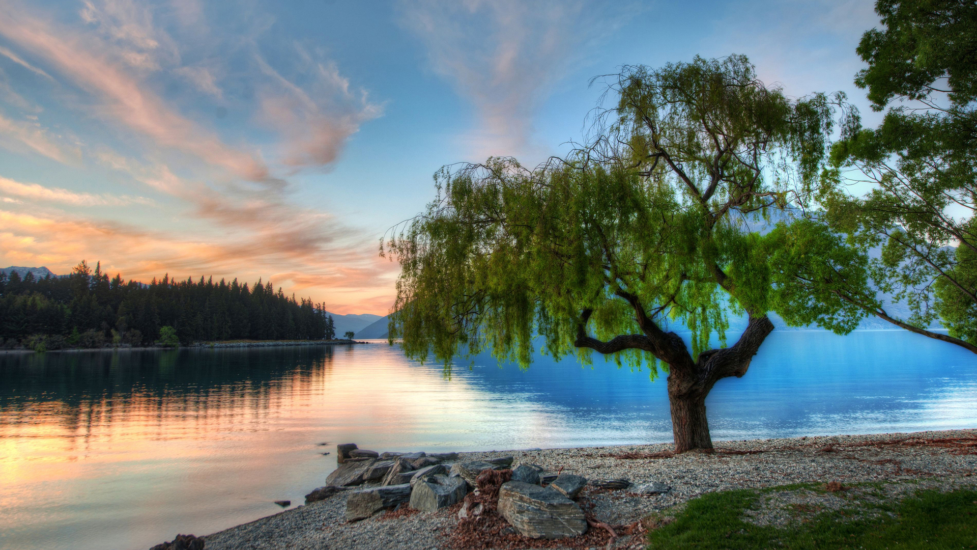 دانلود رایگان عکس مبهم طبیعت حاشیه دریاچه برای پست و استوری 