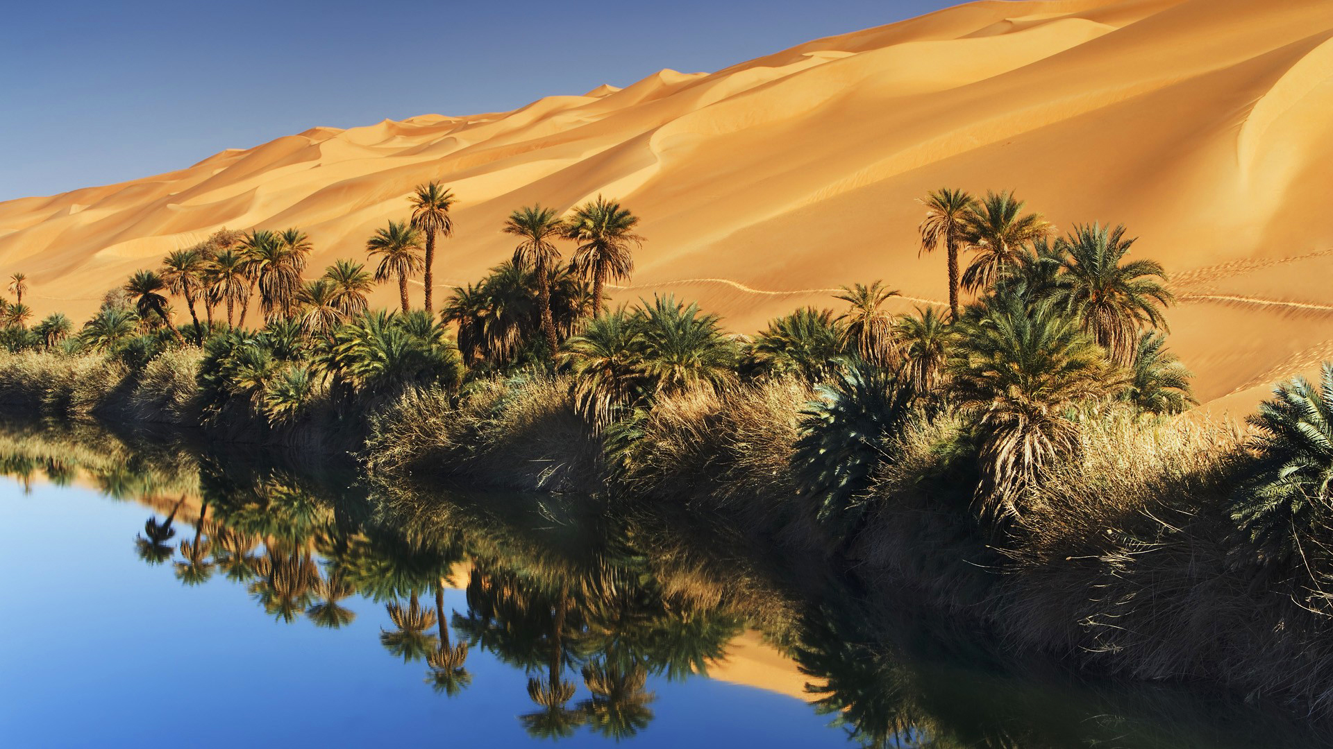 عجیب ترین پس زمینه طبیعت nature full hd از کویر و آب در کنار هم عجیب ترین پس زمینه طبیعت nature full hd از کویر و آب در کنار هم