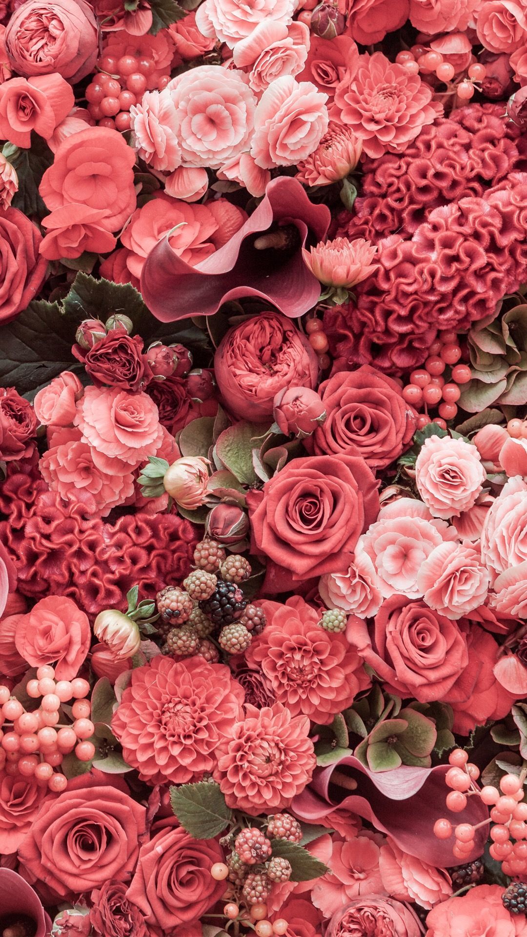 دانلود Wallpaper انواع گوشی ها با طرح گل های قرمز 