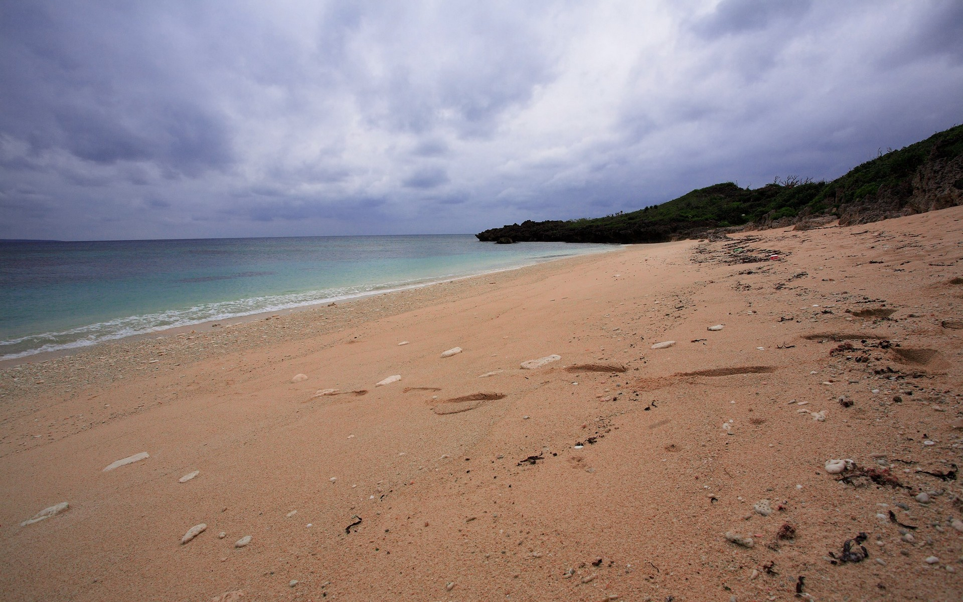 تصویر زمینه جدید از ساحل ماسه‌ای دریا برای لپتاپ