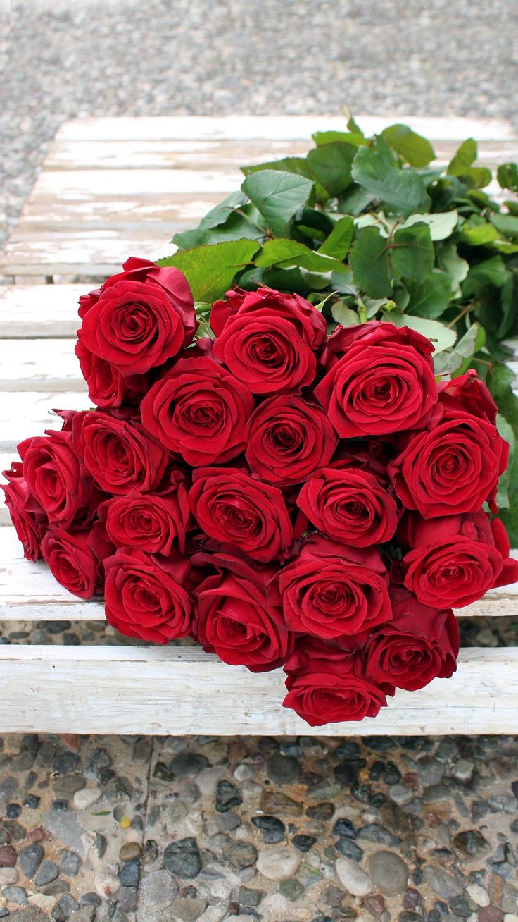 دسته گل رز قرمز عاشقانه برای هدیه در ابعاد بزرگ شیک