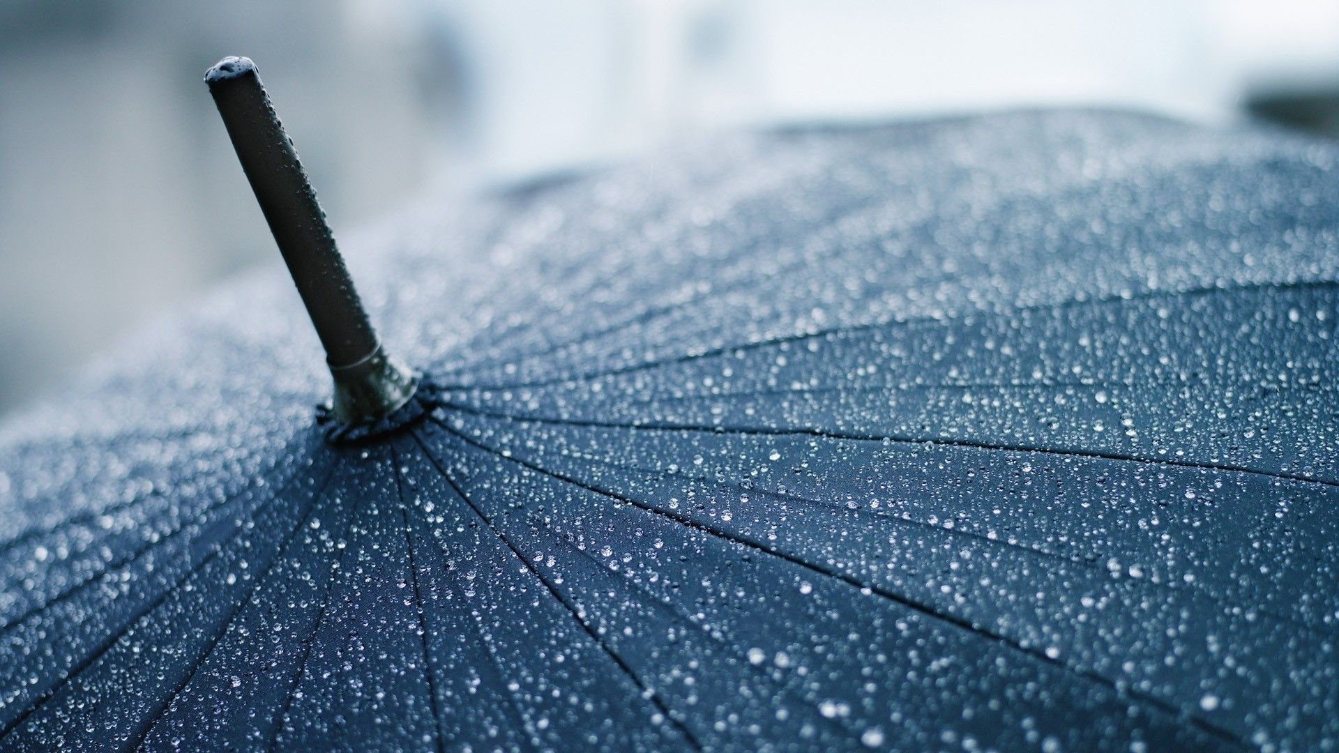 تصویر جالب قطرات باران روی چتر مشکی برای پروفایل
