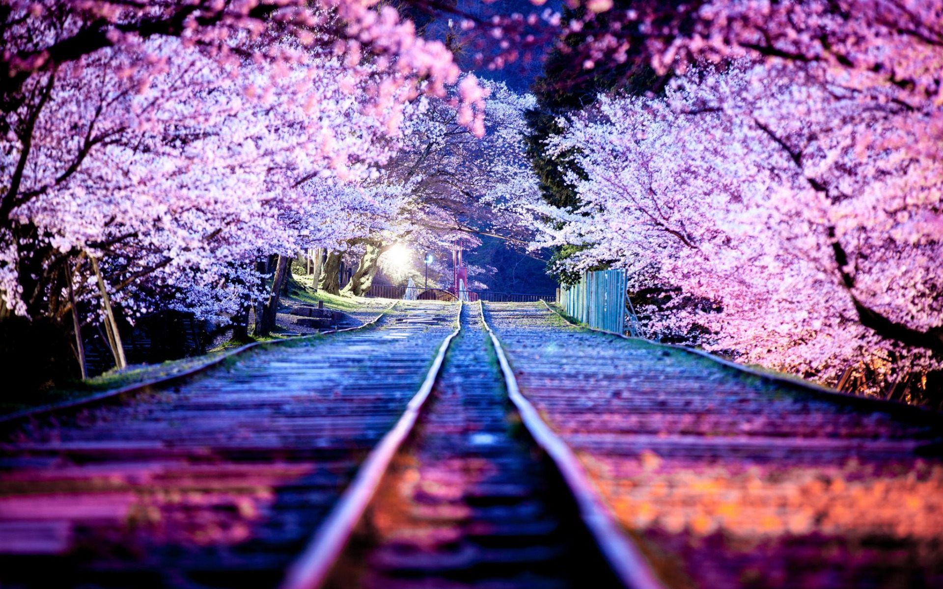 عکس راه آهن در طبیعت ژاپن