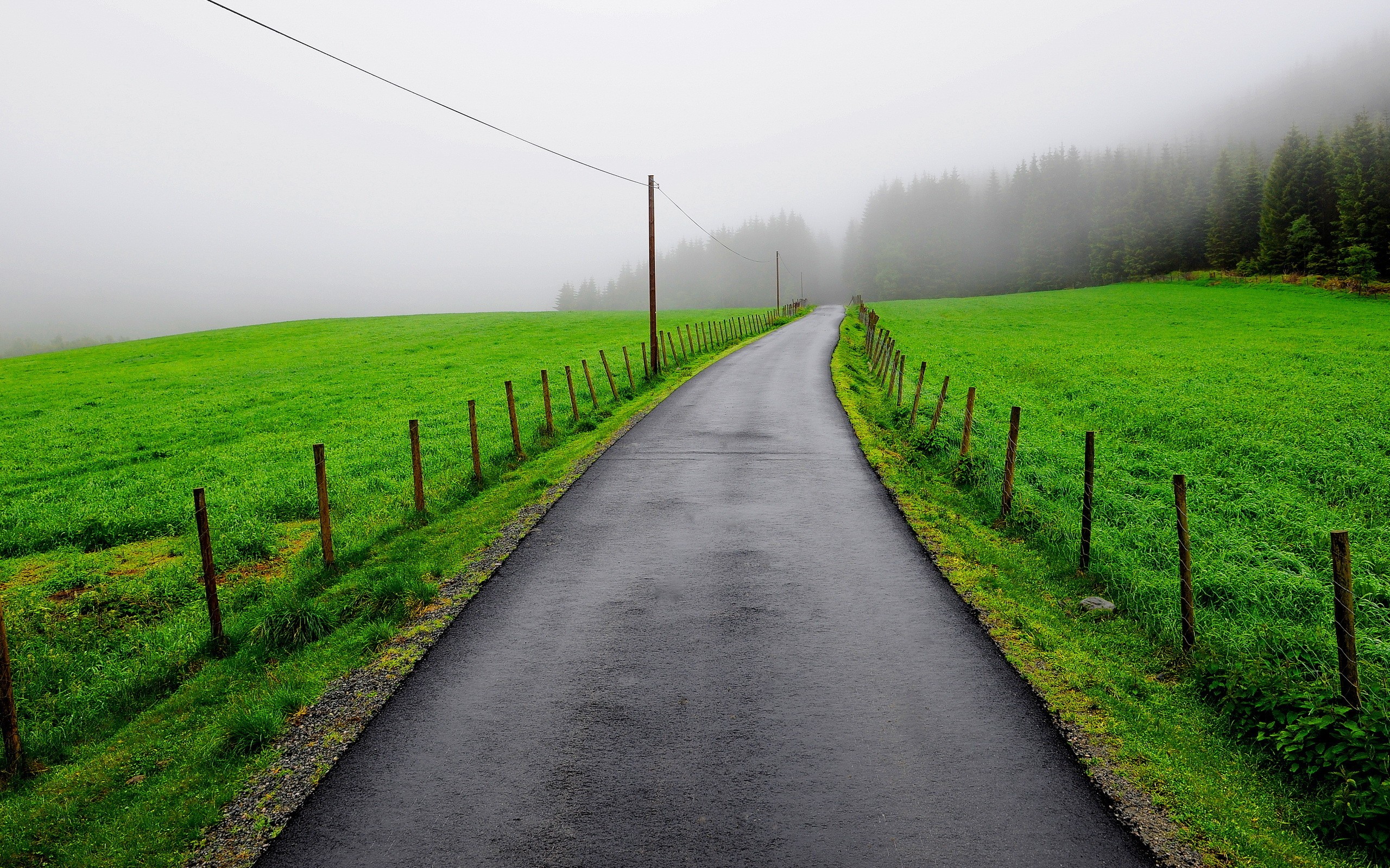 تصویر آرامش بخش جاده در طبیعت سبز با هوای پاک و مه آلود