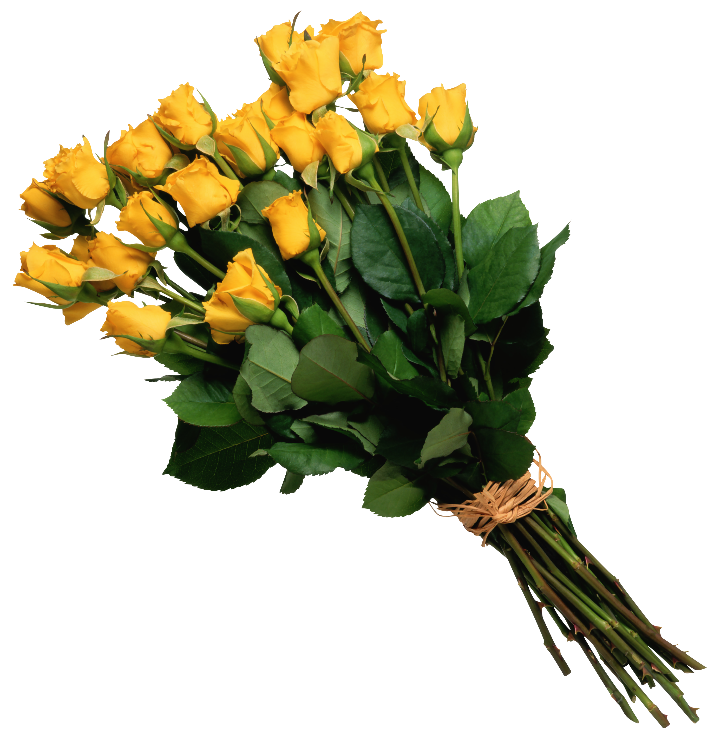 عکس دسته گل زرد عاشقانه به صورت دوربری رایگان