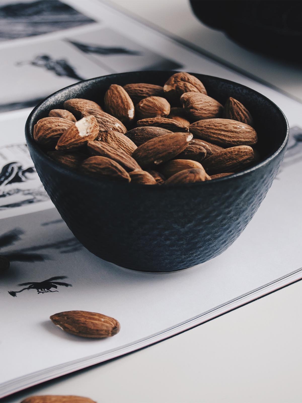 تصویر جالب بادام درختی برای فروش Instagram تصویر جالب بادام درختی برای فروش Instagram