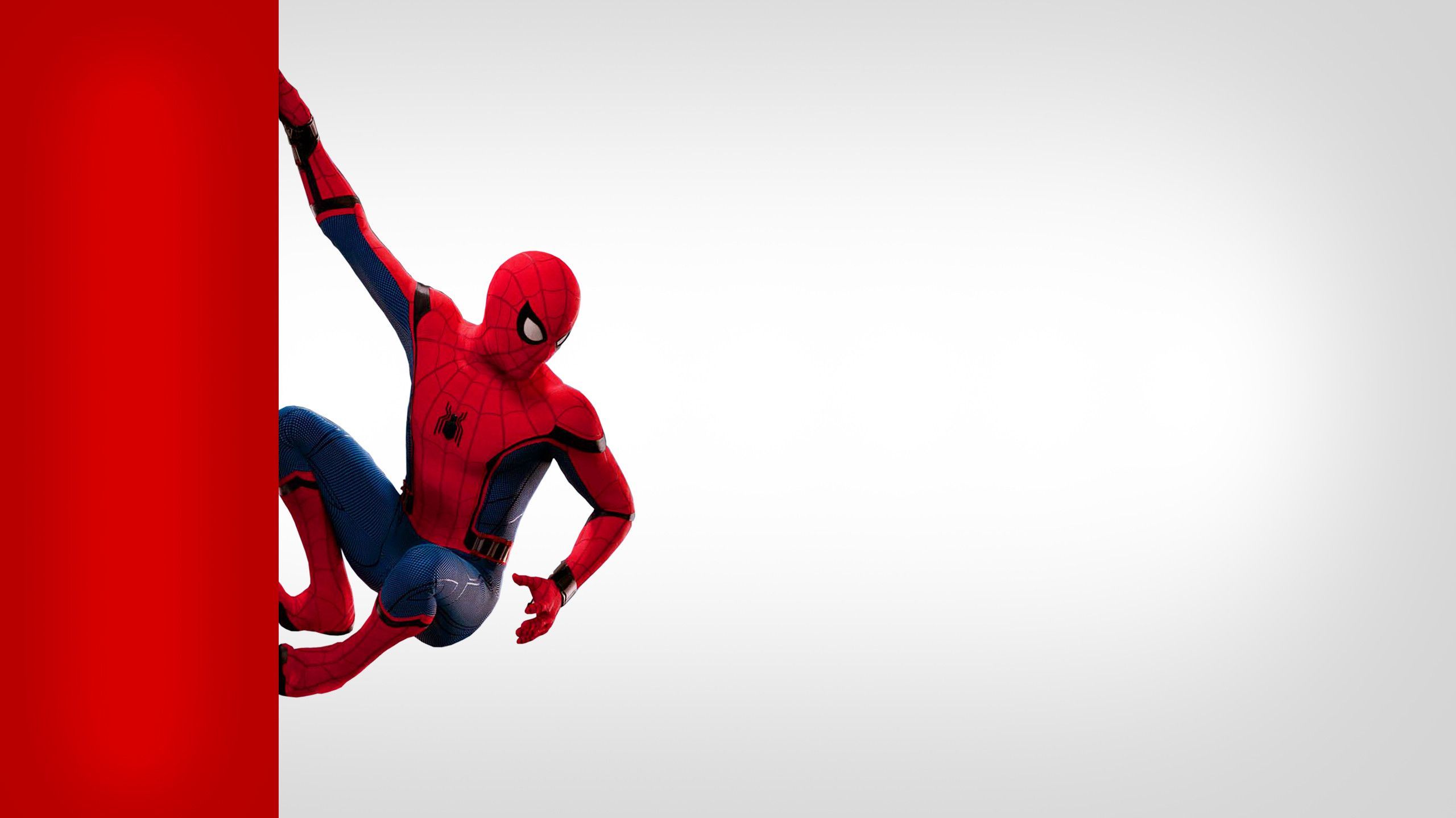 عکس مرد عنکبوتی با کیفیت 4k مخصوص تصویر زمینه ویندوز 12