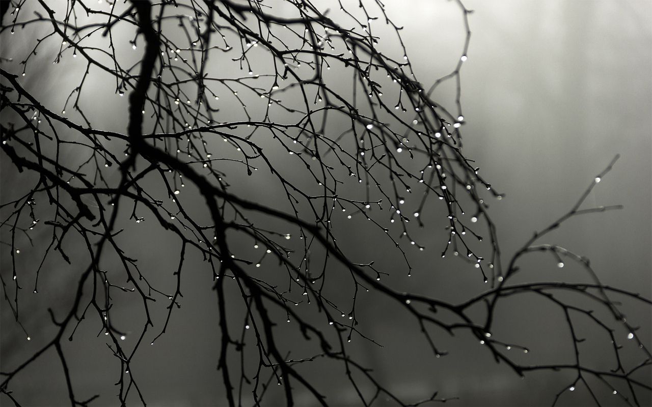 دانلود والپیپر سیاه سفید رمانتیک با طرح باران برای لپتاپ