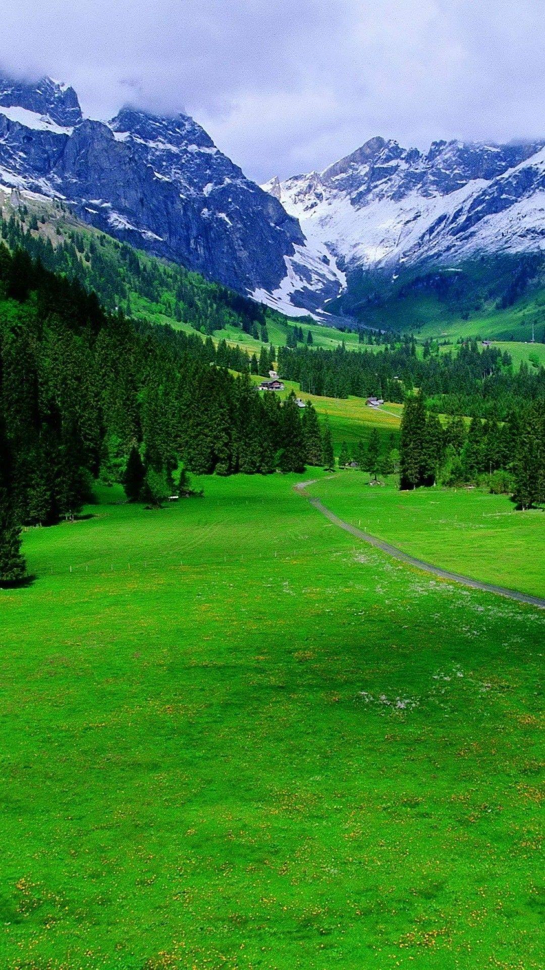 تصویر زمینه طبیعت سرسبز سوئیس برای افراد خاص پسند