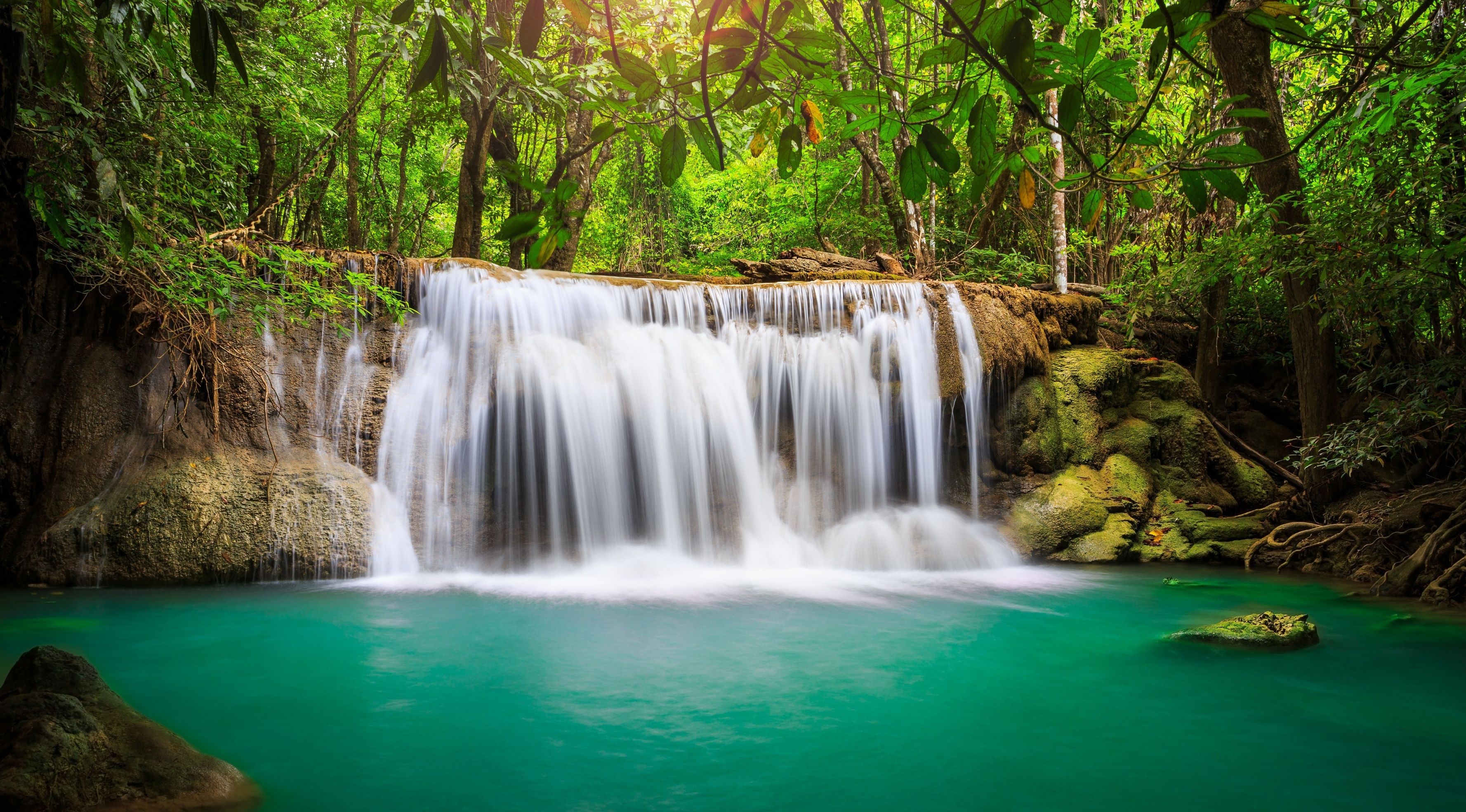 آبشار منتهی به رودخانه خوشرنگ در جنگل در یک قاب هنری 