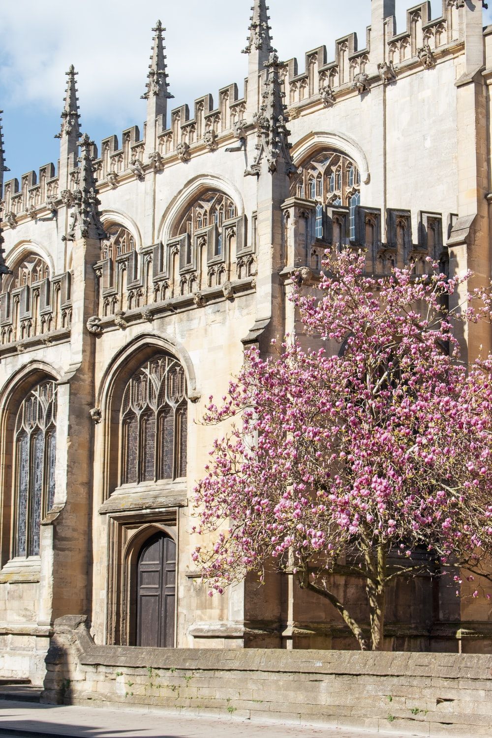 زیباترین پروفایل دانشگاه آکسفورد با درخت شکوفه صورتی 