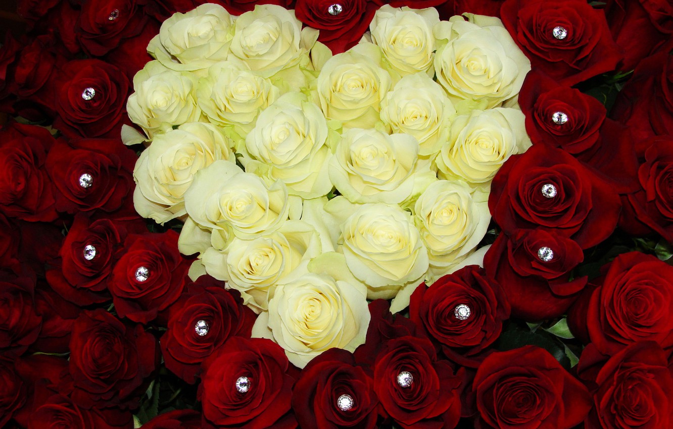 تصویر گل رز سفید و قرمز قلب شکل زیبا برای ایده هدیه
