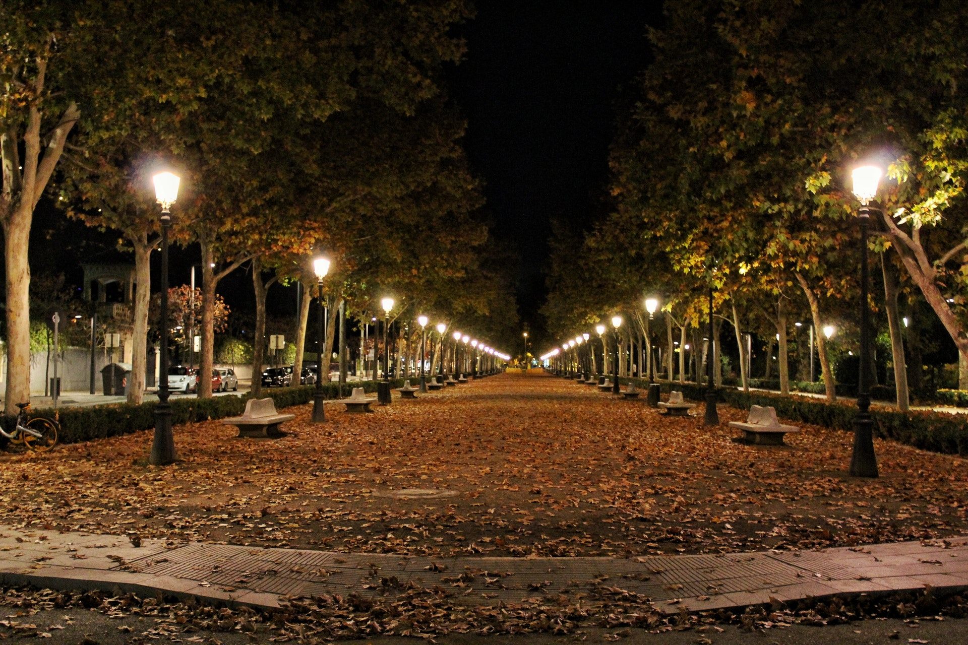 خیابان تنهایی بدون پایان در یک قاب هنری جالب توجه خیابان تنهایی بدون پایان در یک قاب هنری جالب توجه