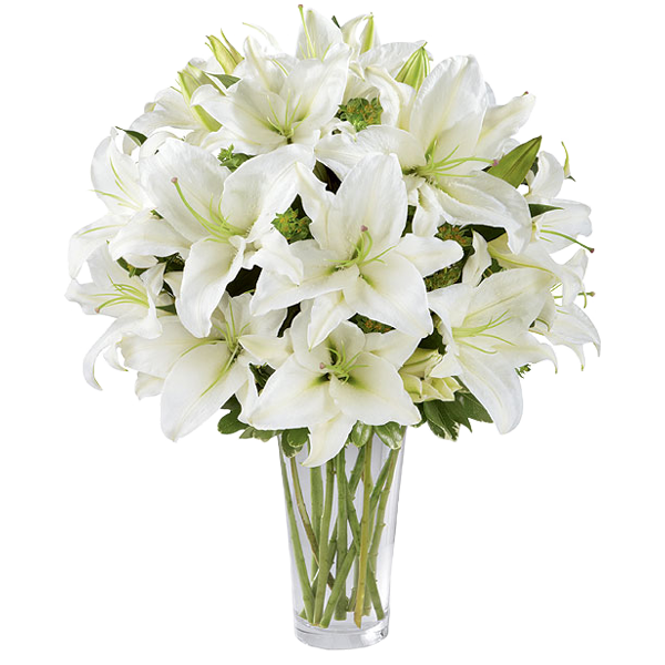 تصویر png با کیفیت دسته گل سوسن یا لیلیوم سفید