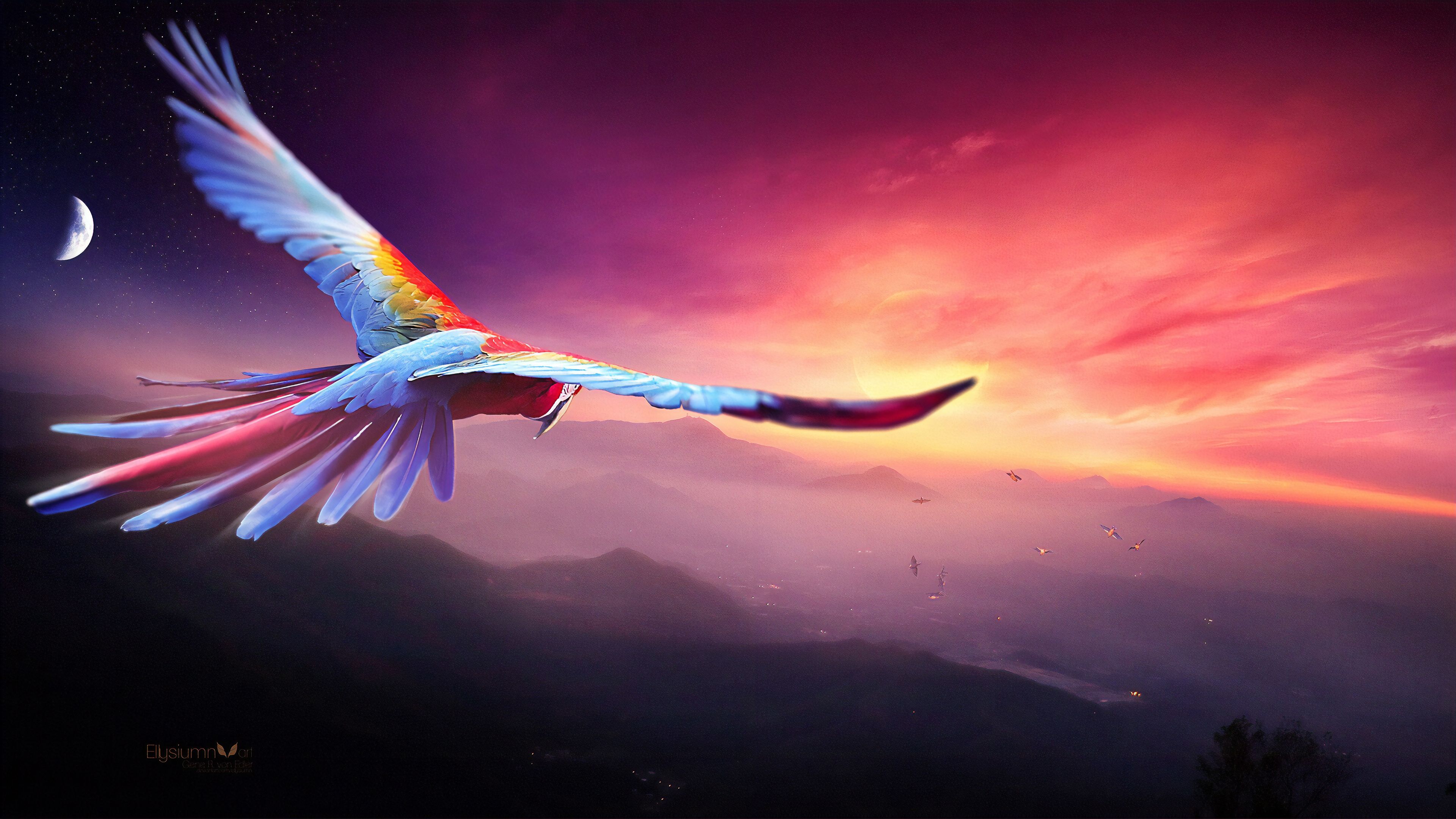 زیباترین نقاشی دیجیتالی از پرواز طوطی ماکائو در غروب سرخ خورشید