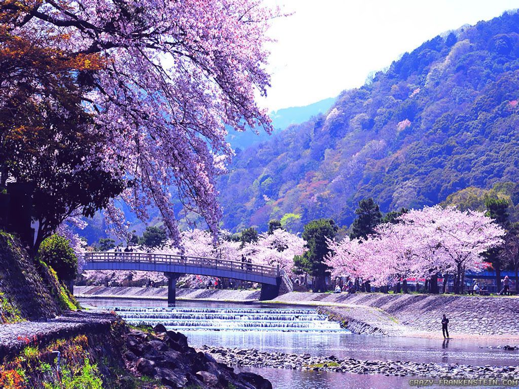 عکس طبیعت بهاری در کشور ژاپن