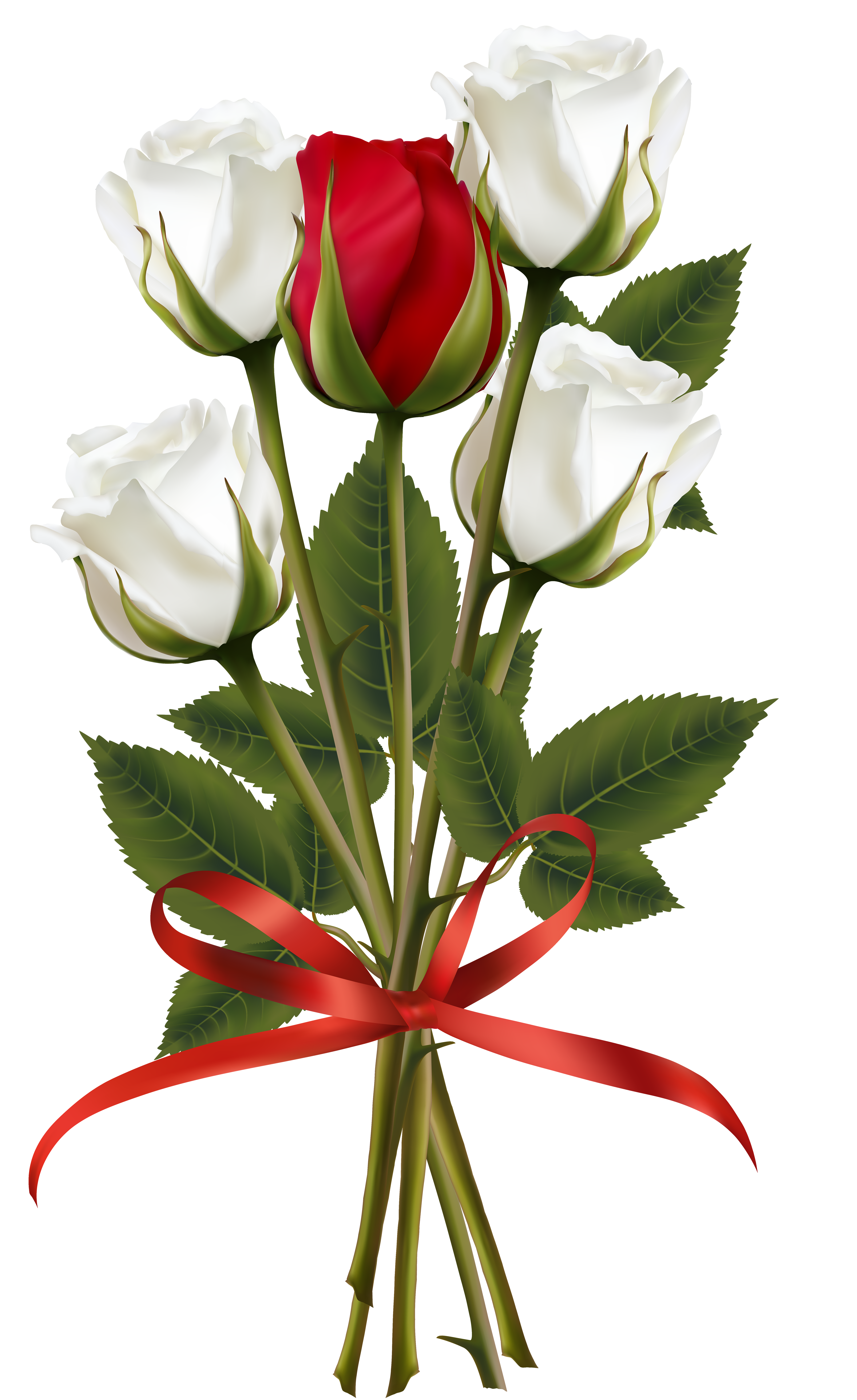 دانلود عکس دوربری شده گل برای انواع فعالیت گرافیکی دانلود عکس دوربری شده گل برای انواع فعالیت گرافیکی