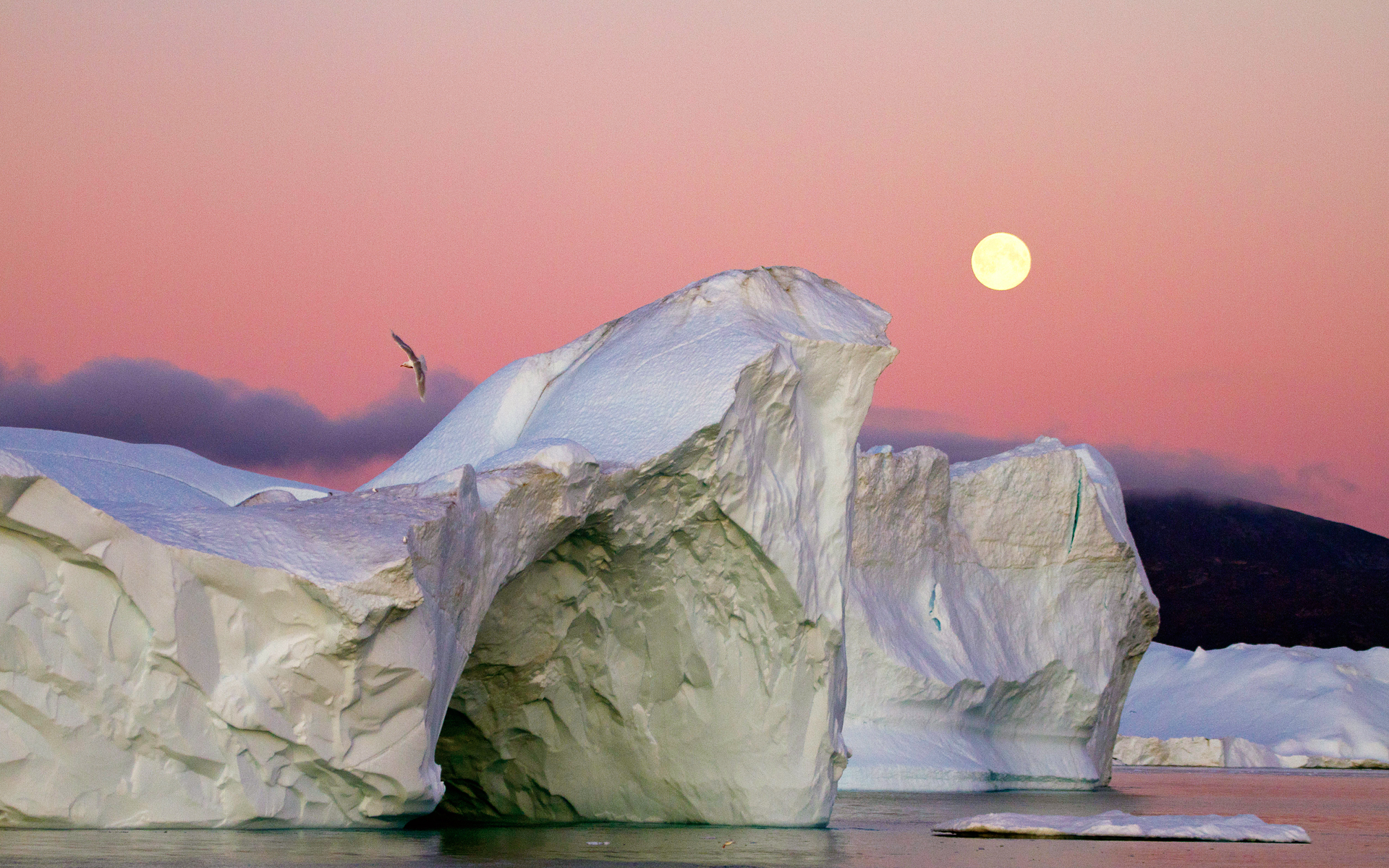 والپیپر جالب از غروب خورشید و عقاب زیبا در آسمان همراه با یخچال های طبیعی
