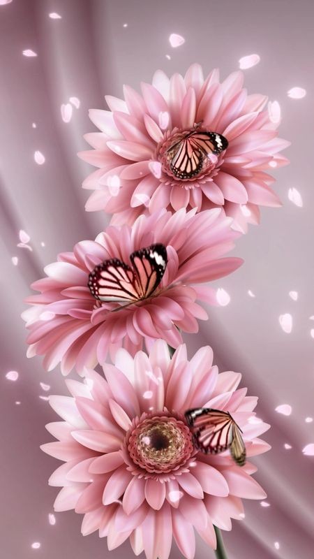 والپیپر و پروفایل گل و پروانه زیبای صورتی مخصوص تصویر زمینه