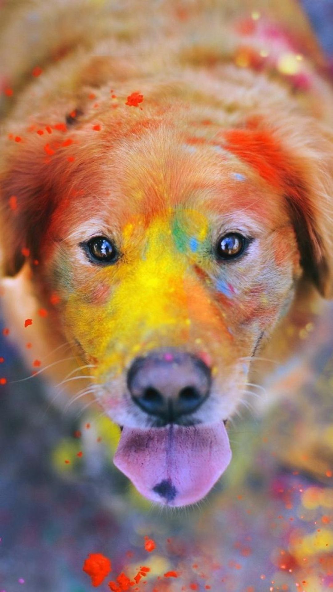 تازه ترین تصویر پروفایل هنری سگ با تم شاد و رنگارنگ