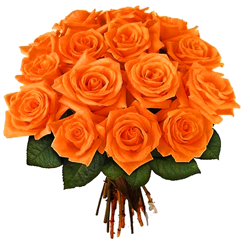 عکس دسته گل رز هلندی نارنجی برای استفاده اینشات عکس دسته گل رز هلندی نارنجی برای استفاده اینشات