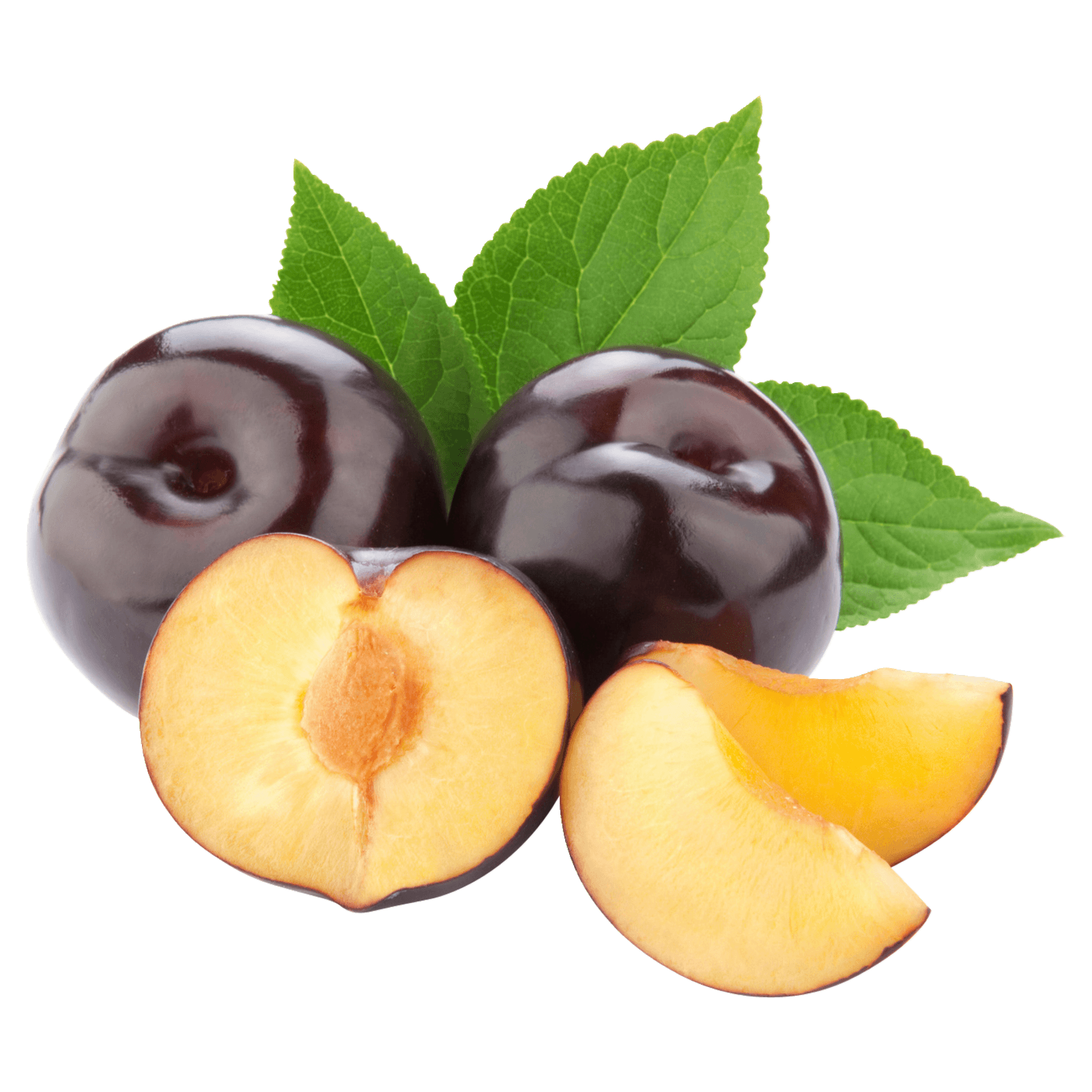 png جالب آلو سیاه چیده شده از درخت با برگ png جالب آلو سیاه چیده شده از درخت با برگ
