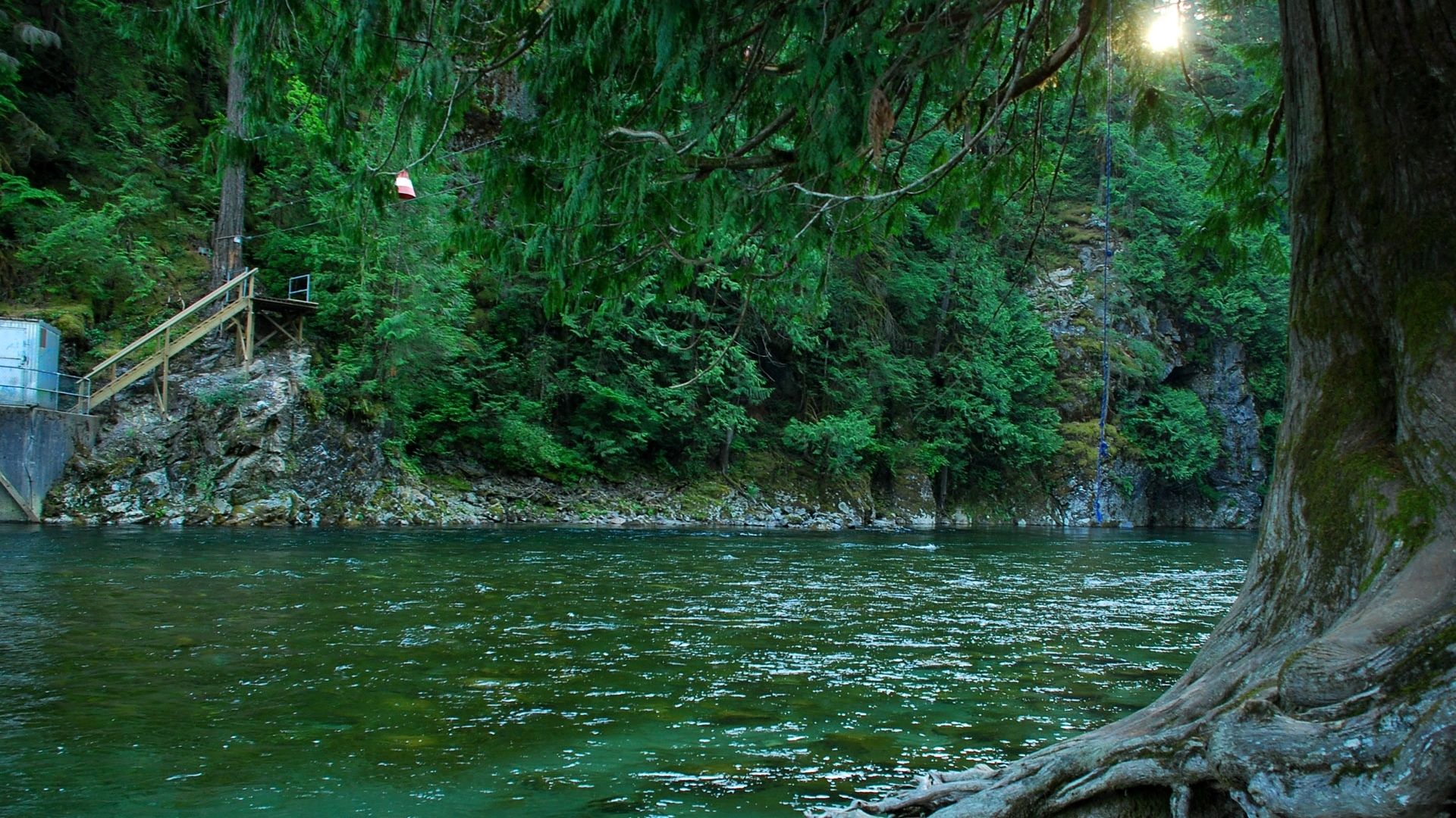 عکس طبیعت و رودخانه از کانادا
