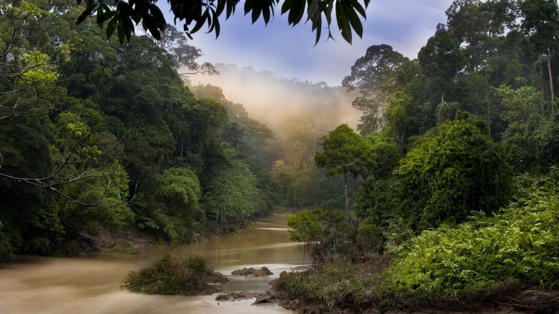بک گراند هنری و دلپذیر طبیعت با طرح رودخانه در جنگل