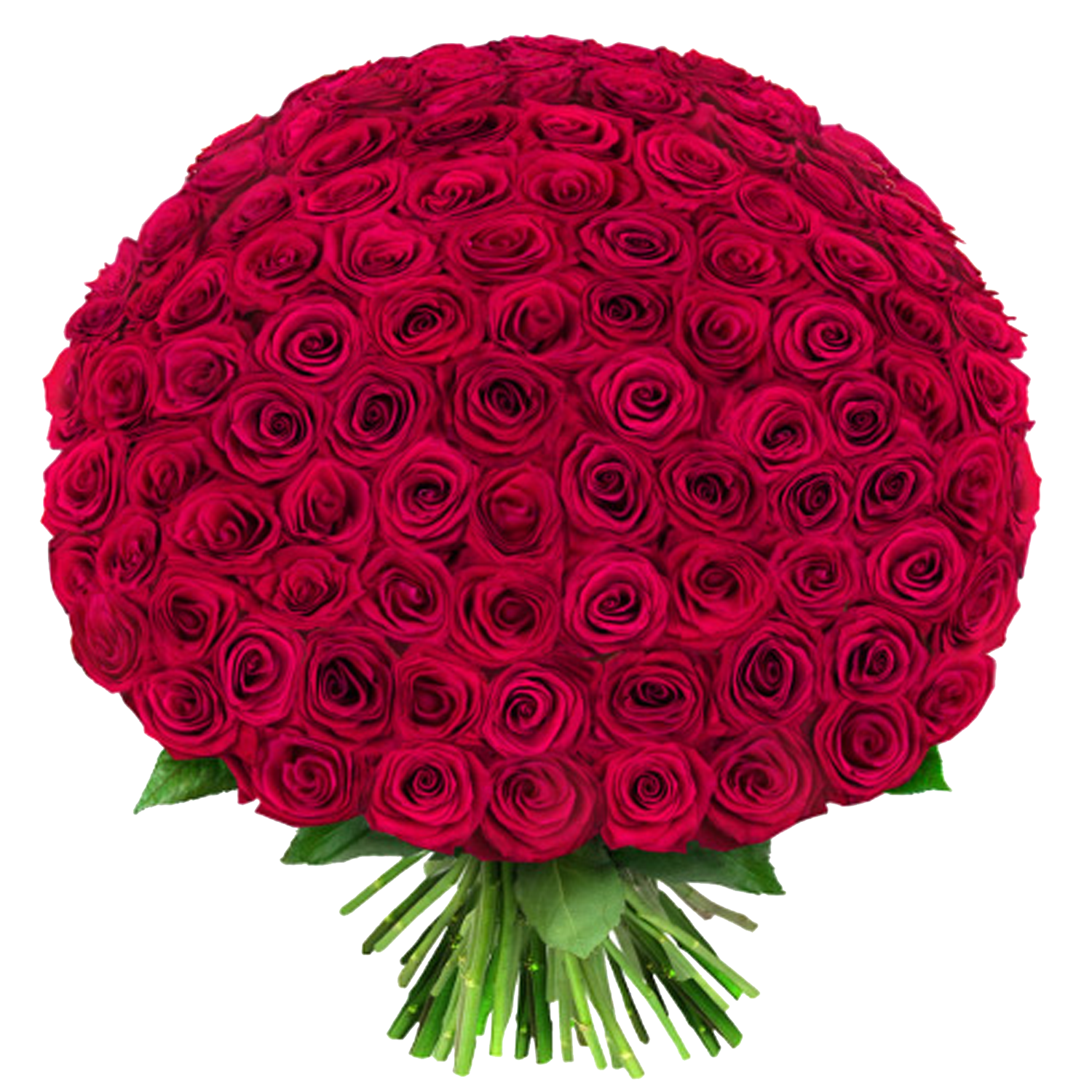 عکس دسته گل رز قرمز لاکچری و بزرگ با فرمت png عکس دسته گل رز قرمز لاکچری و بزرگ با فرمت png