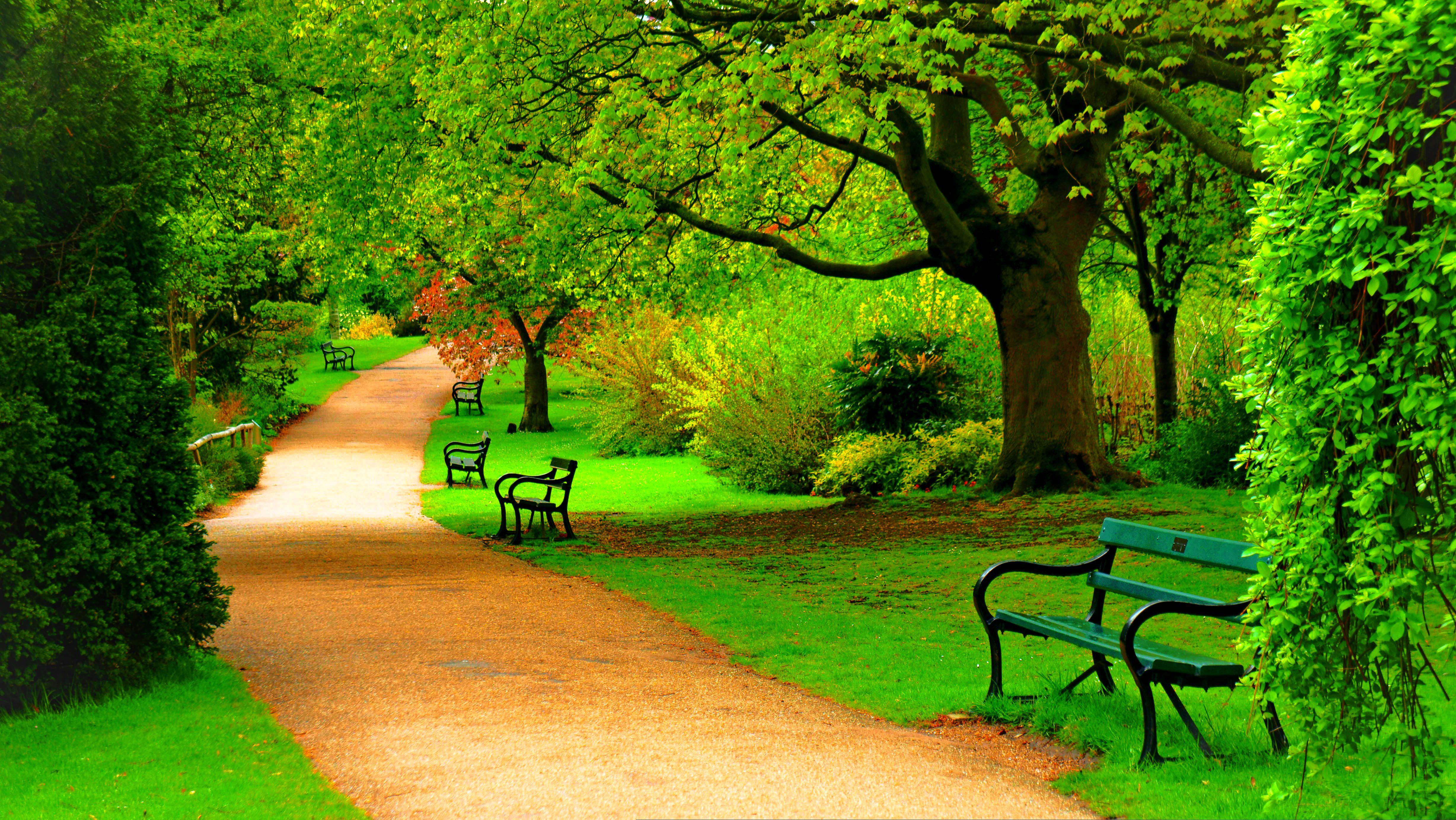 عکس زمینه hd پارک سبز قشنگ در فصل بهار برای دسکتاپ