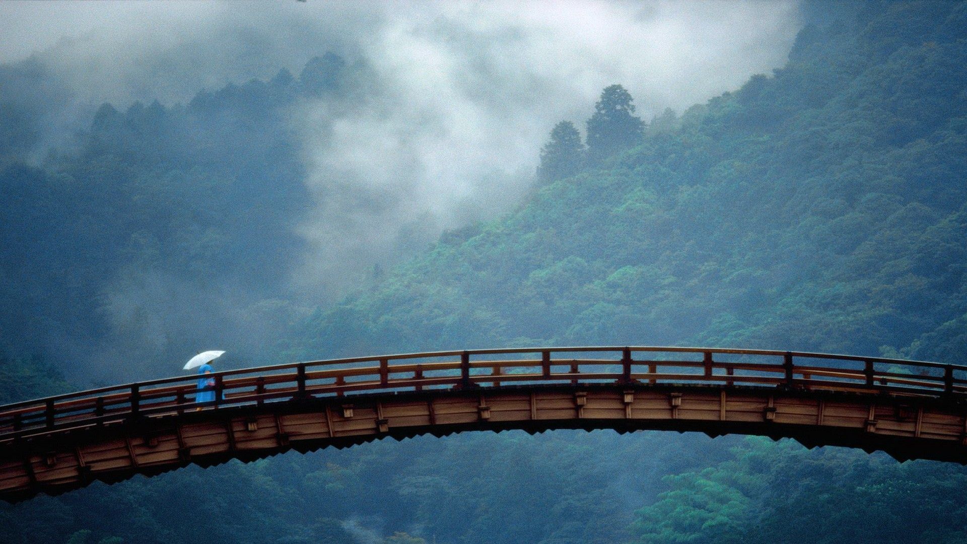 عکس پل زیبا در طبیعت ژاپن