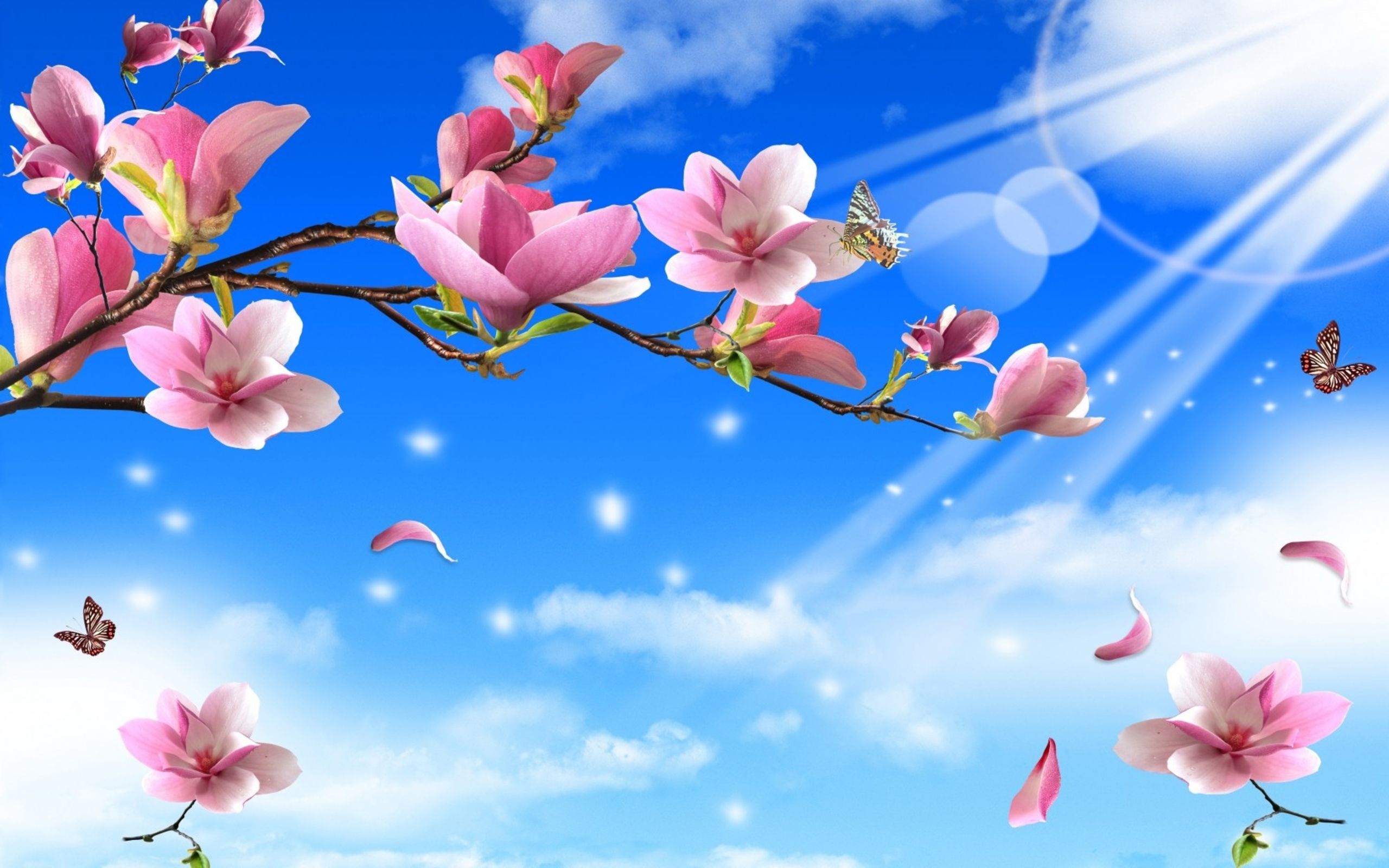 زیباترین تصویر زمینه نقاشی شکوفه بهار با کیفیت بالا