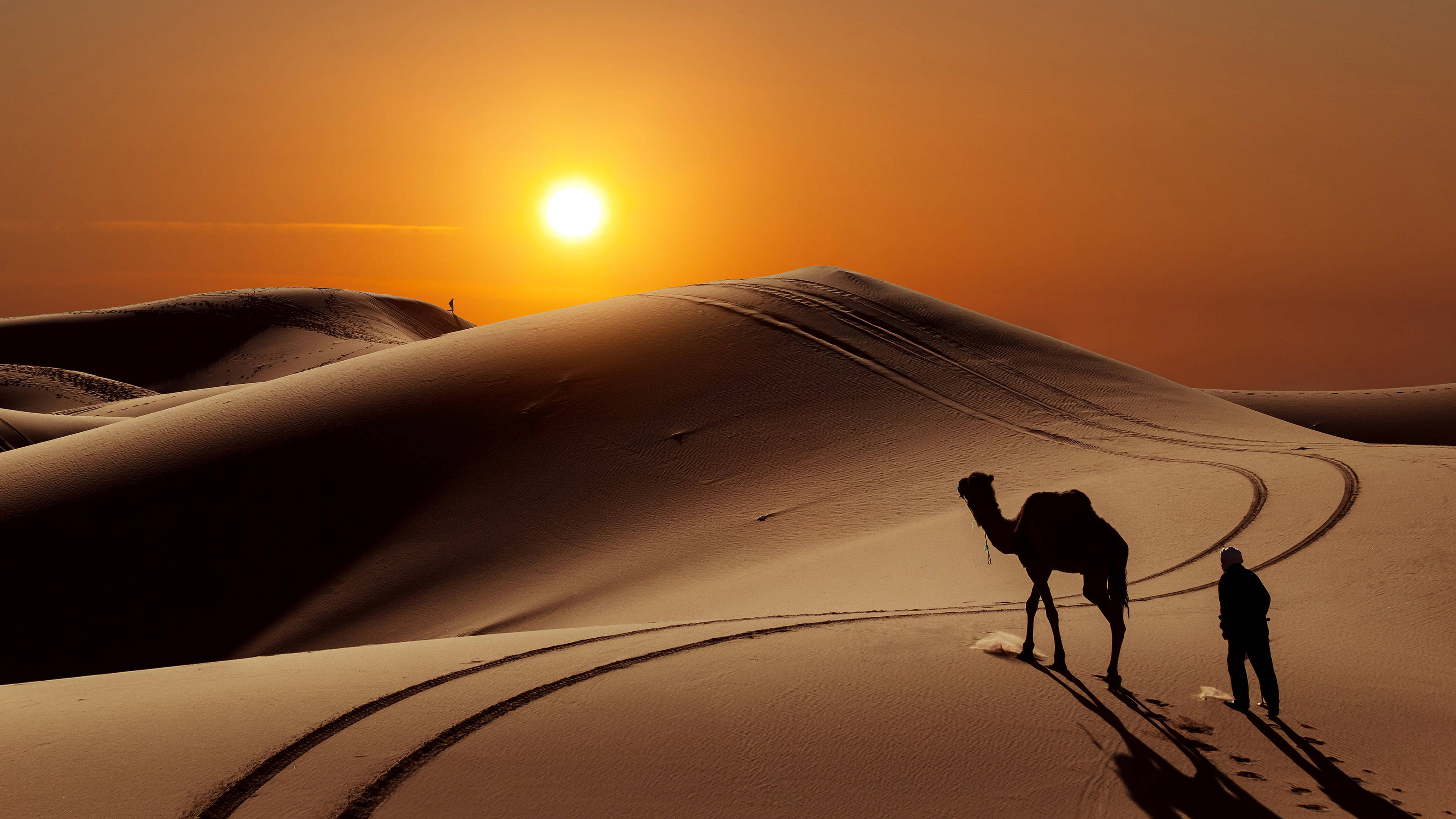 تصویر زمینه زیبای کویر مراکش با نور آفتاب و حرکت شتر ها