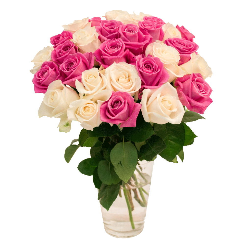  عکس دوربری دسته گل سفید صورتی قشنگ در گلدان