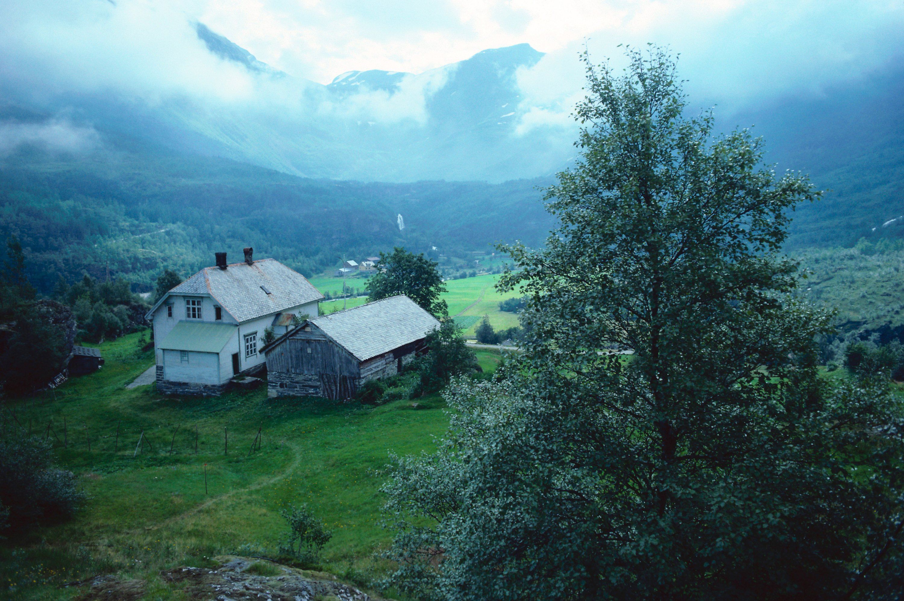 جدید ترین عکس عاشقانه و رویایی جنگل سبز اسکاندیناوی