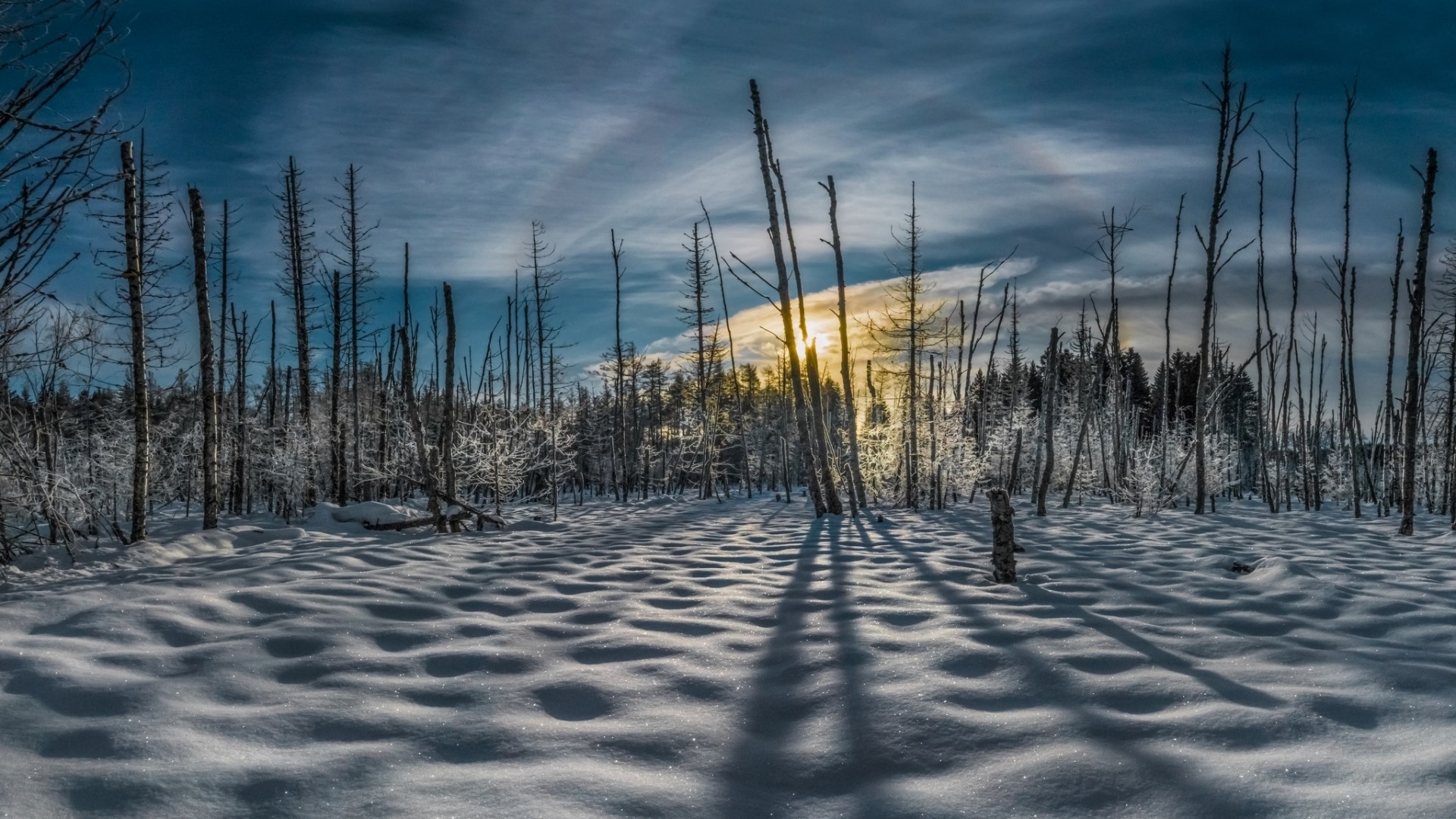 عکس خوشگل طلوع آفتاب در جنگل برفی به عنوان والپیپر
