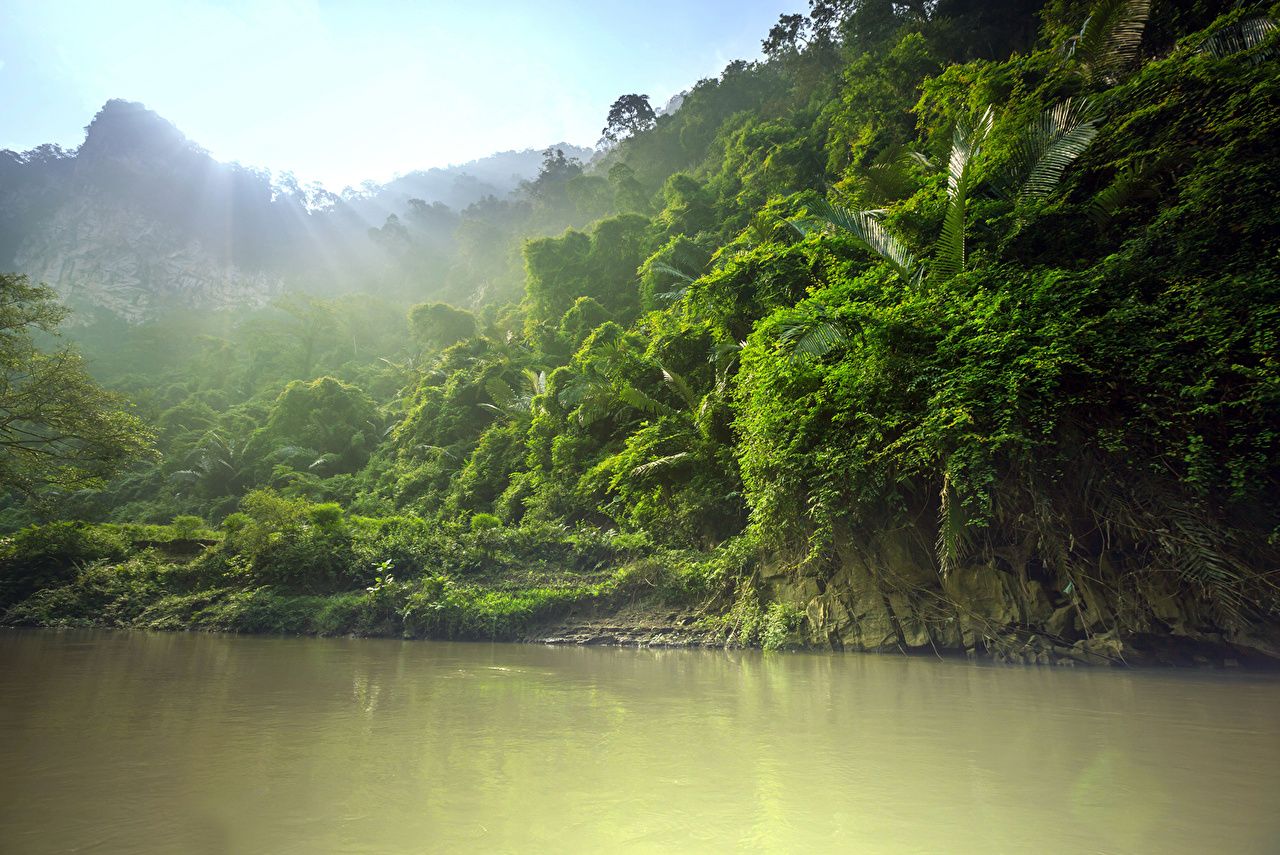 تصویر زمینه رویایی رودخانه خنک درون جنگل دلپذیر 