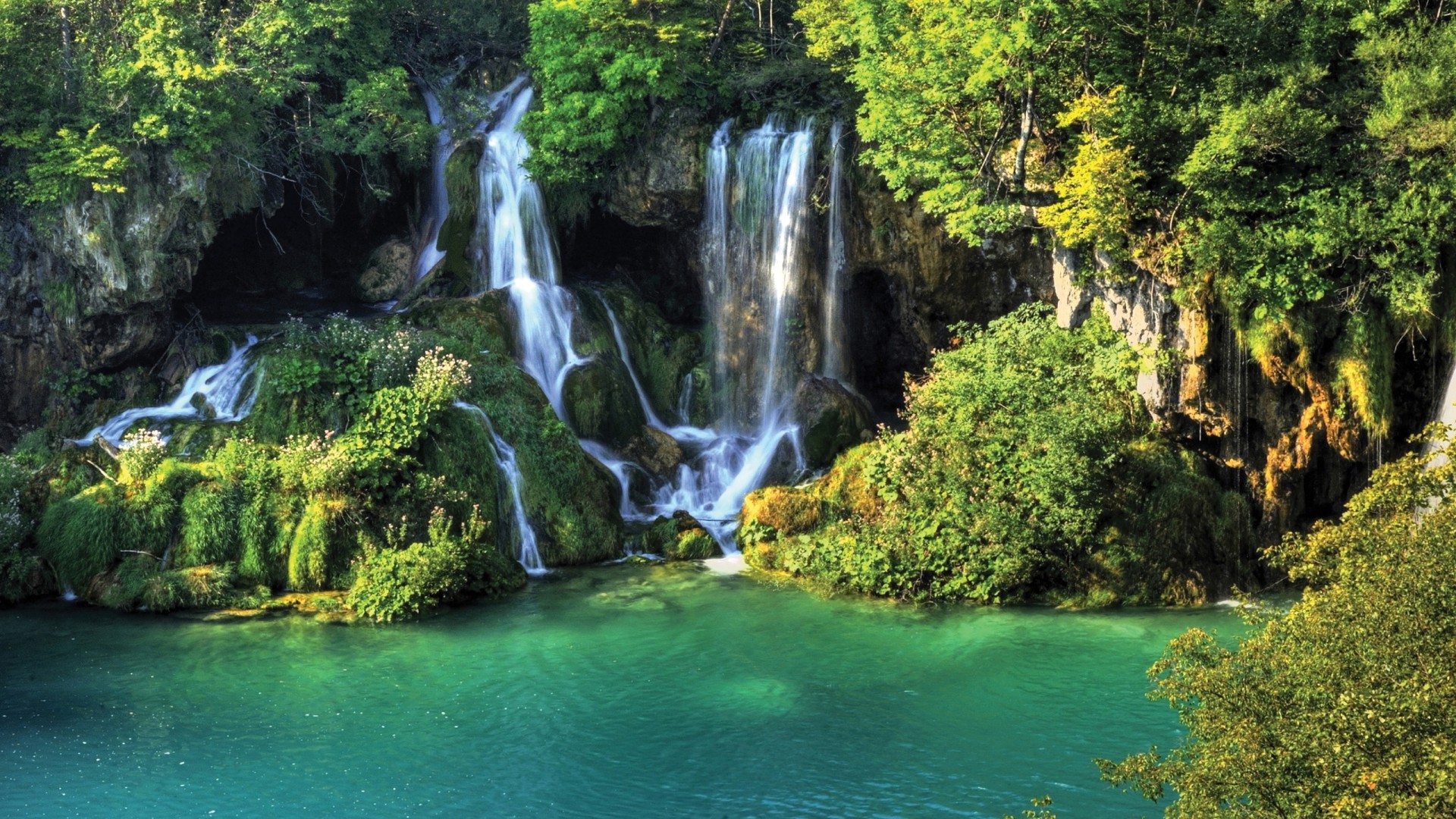 عکس پروفایل جنگل شگفت انگیز با آبشار و رودخانه های زیبا