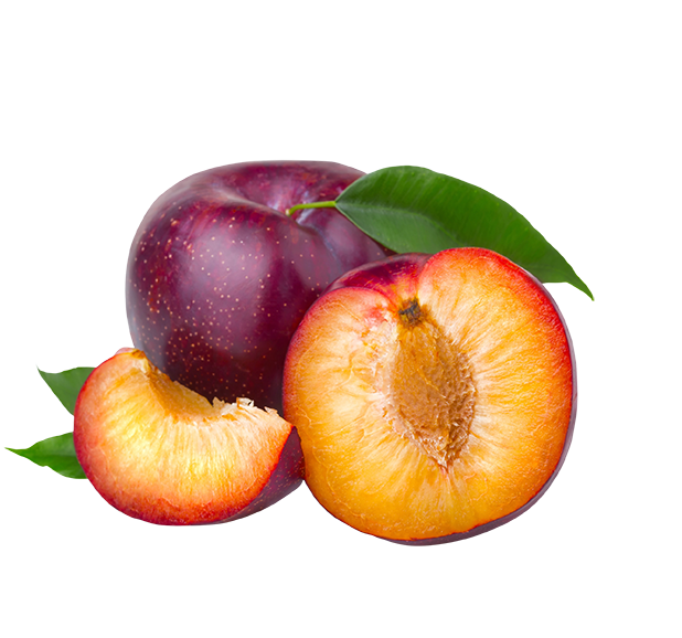 عکس png بدون زمینه آلو درسته و نصف شده عکس png بدون زمینه آلو درسته و نصف شده