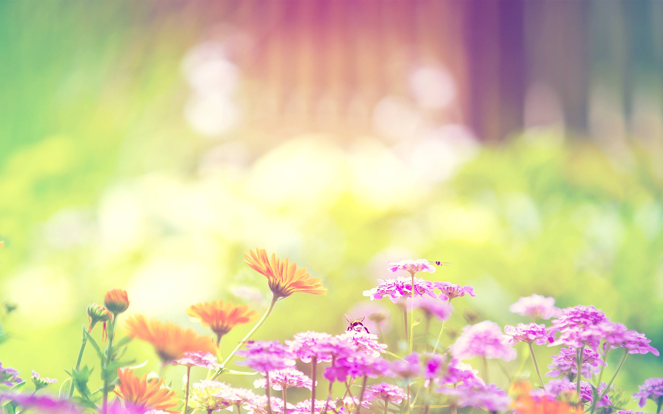 بهترین صفحه زمینه گل گلی پاورپوینت با طرح بهار