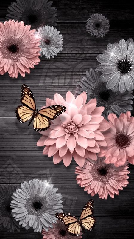 دانلود عکس پروفایل پروانه زیبا و خوشگل بر روی گل های خوش رنگ