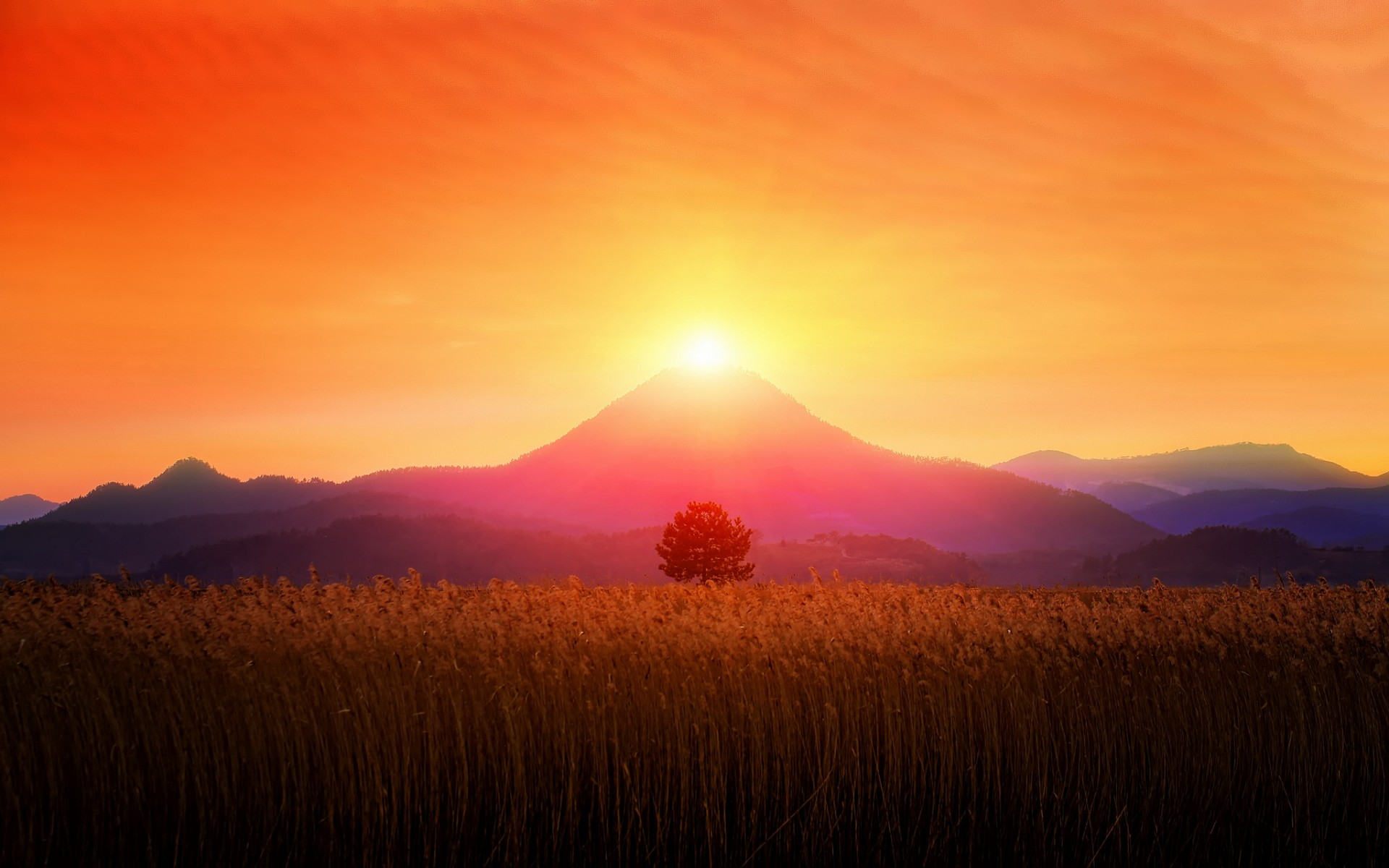زیباترین عکس استوک غروب خورشید برای چاپ بنر