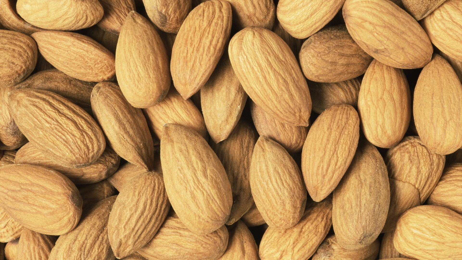 جدید ترین عکس 8k از بادام کوهی و بادام درختی جدید ترین عکس 8k از بادام کوهی و بادام درختی