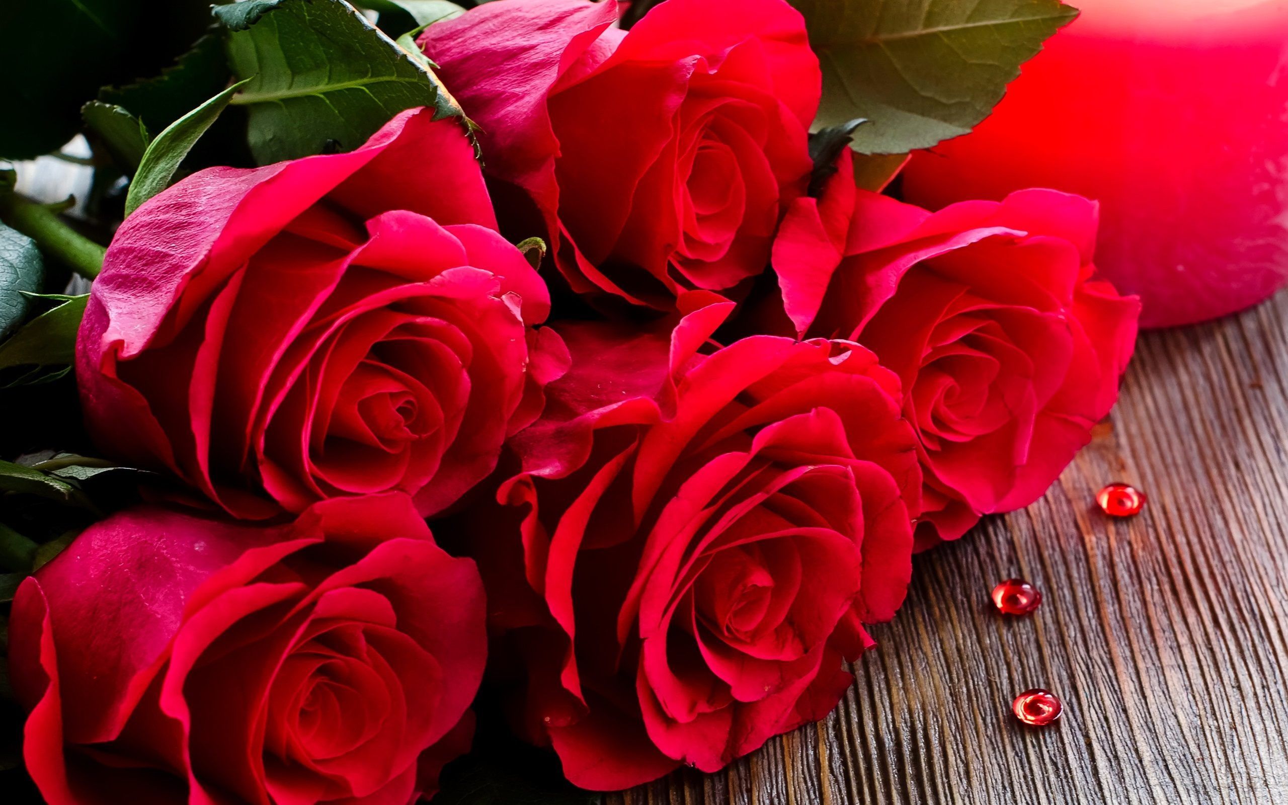 بهترین عکس 8K دسته گل رز قرمز برای کادو روز عشق