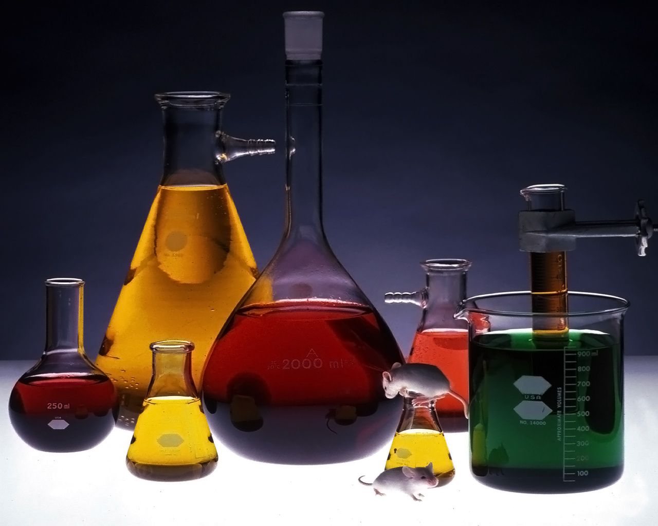 عکس ابزار متنوع شیمی در کنار موش آزمایشگاهی 4K