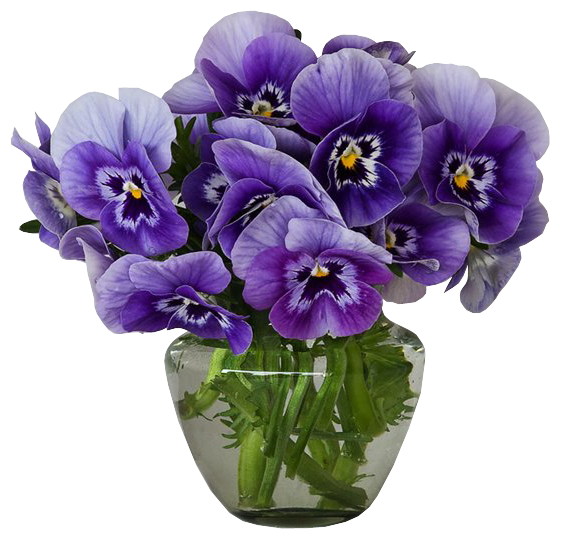 عکس گلدان شیشه ای با گلهای بنفش طبیعی با فرمت png